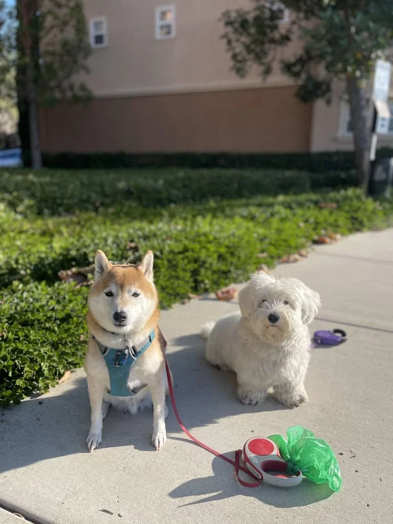 JPEG image-430A-BF9F-99-0.jpeg