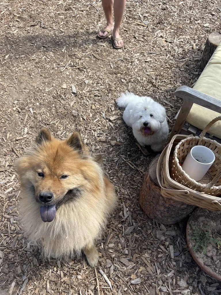 JPEG image-4D65-A15C-43-0.jpeg