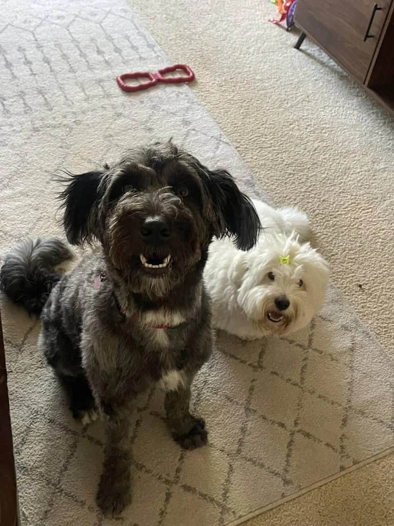 JPEG image-4CC2-89F5-BF-0.jpeg