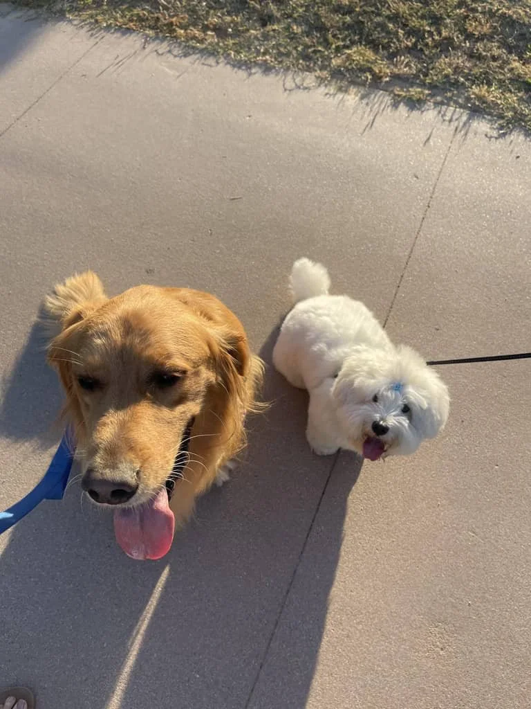 JPEG image-469D-9202-04-0.jpeg