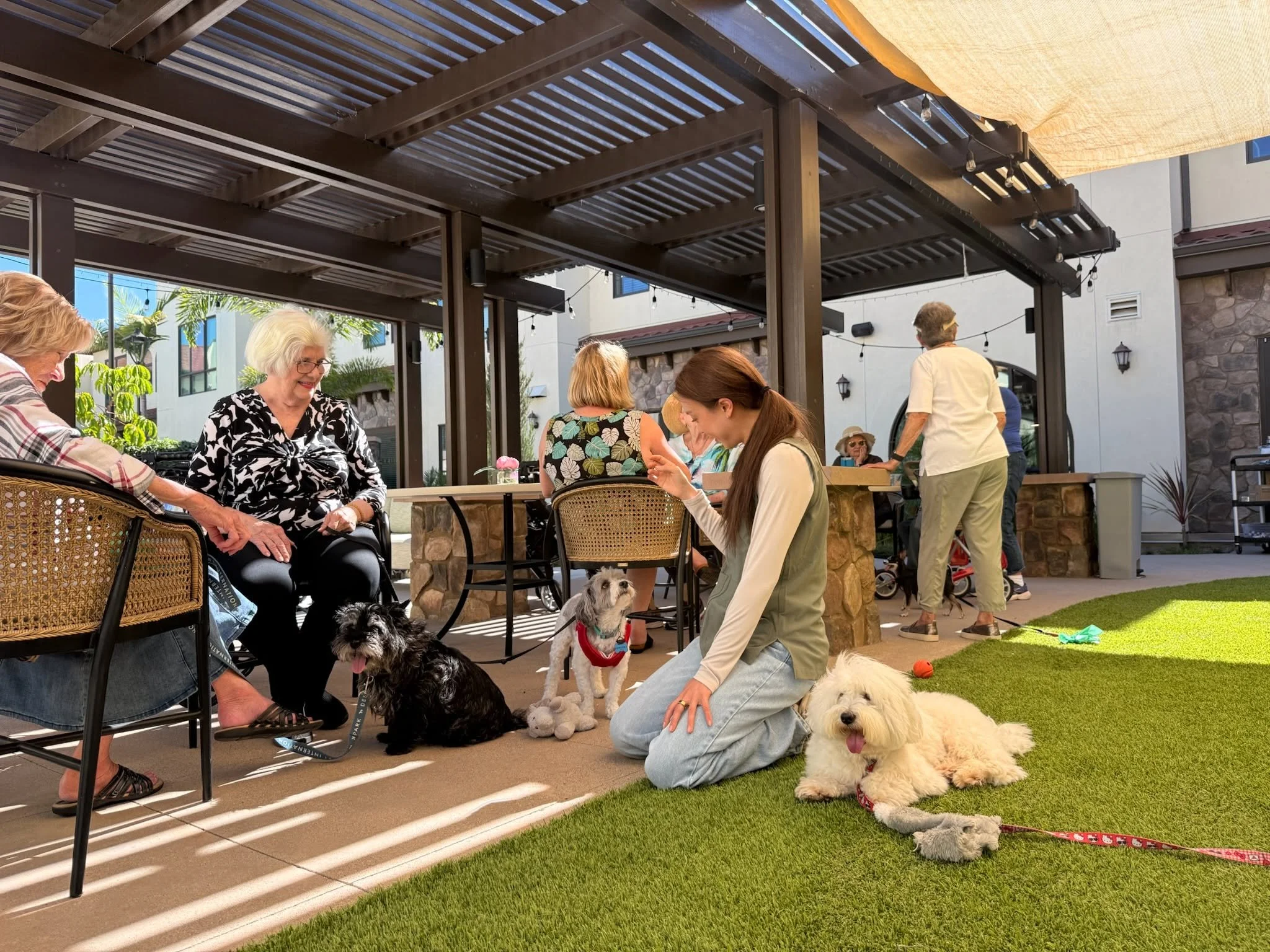 Helping Parents Transition Into Assisted Living With Their Dog