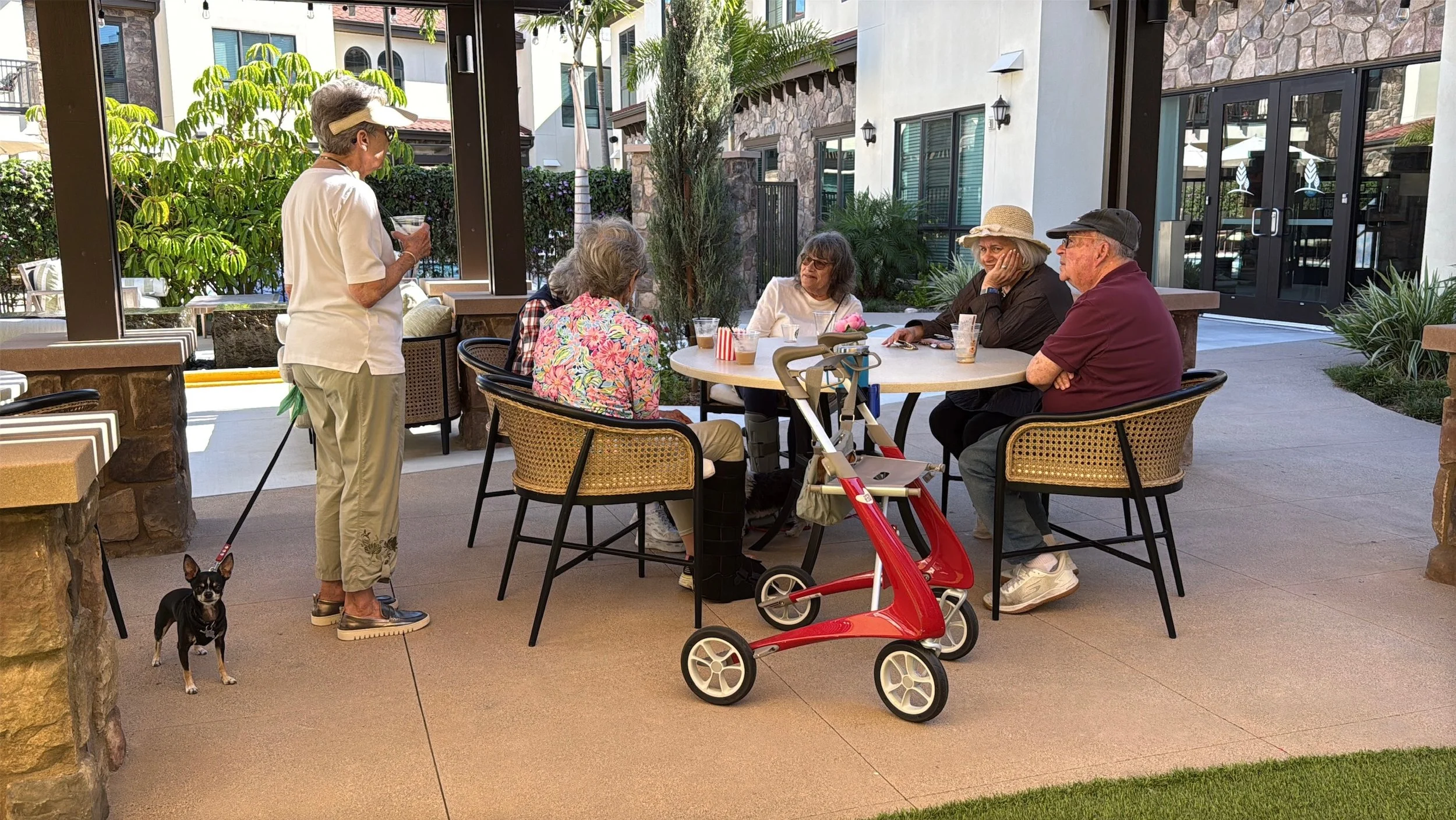The Hidden Benefits of Pet Ownership for Seniors