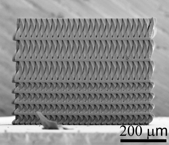3D printed Bouligand-inspired hierarchical architected material. By Israel Kellersztein
