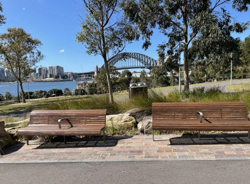 A companion space provided between seats in Barangaroo Reserve with the Harbour Bridge in the background.