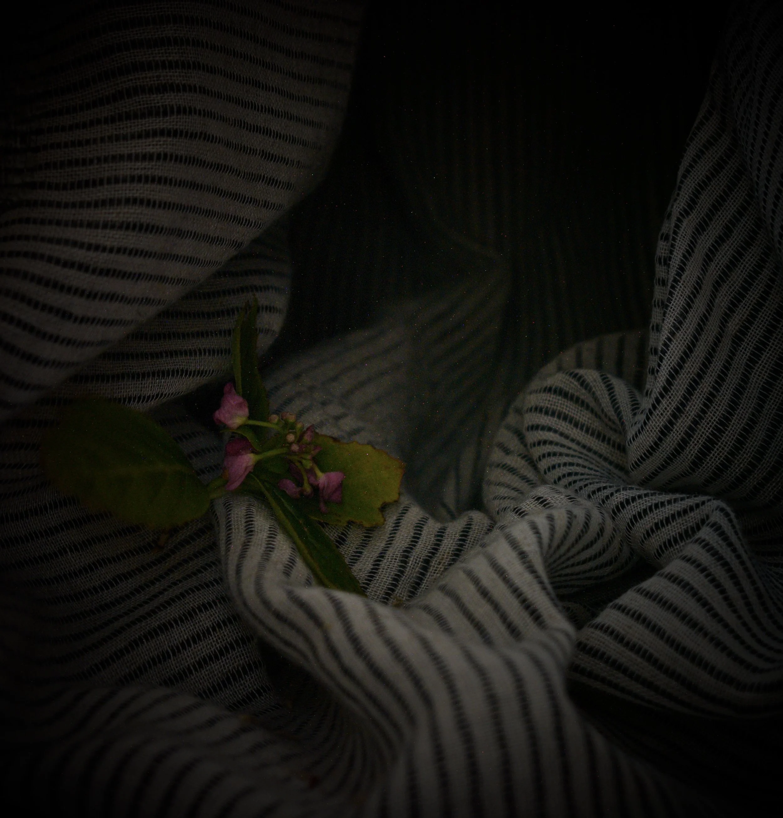 DSC_0682.jpeg