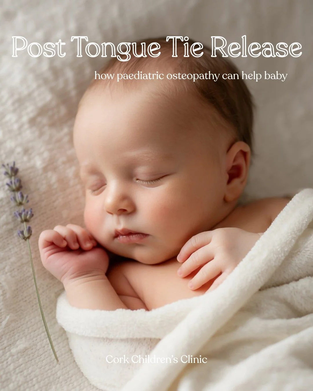 Prior to having a tongue tie released, a baby&rsquo;s tongue has been anchored to the floor of the mouth and may be unable to form a good latch. The neck and jaw muscles have been used to create the latch and that becomes exhausting for the baby when