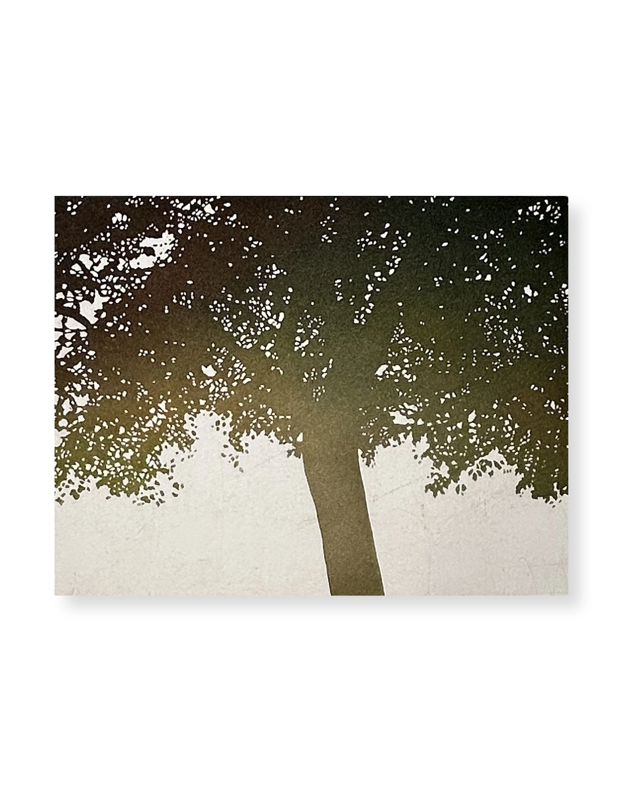 La mémoire de la pierre