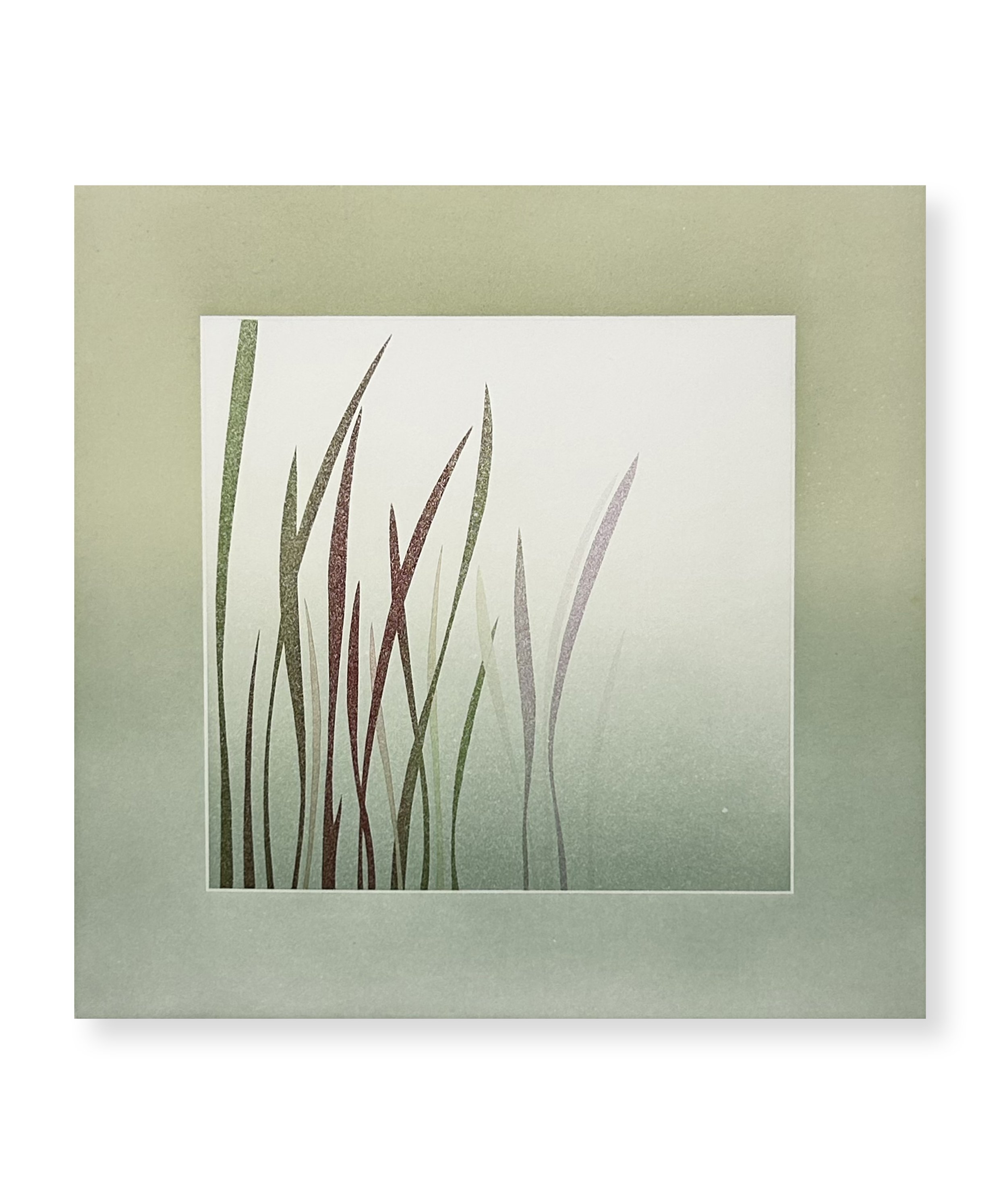 Dans toute le lumière