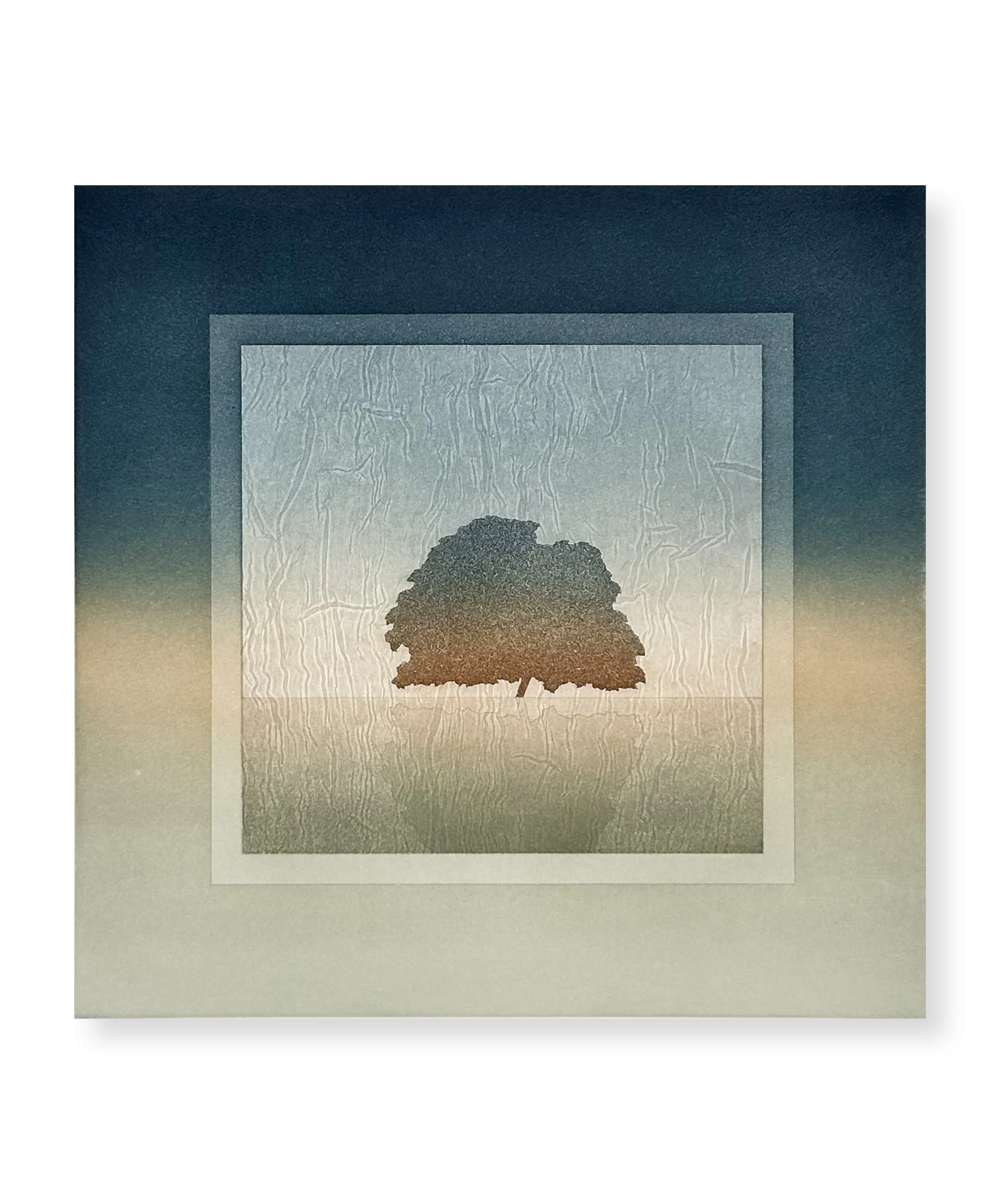 Le temps d’un arbre