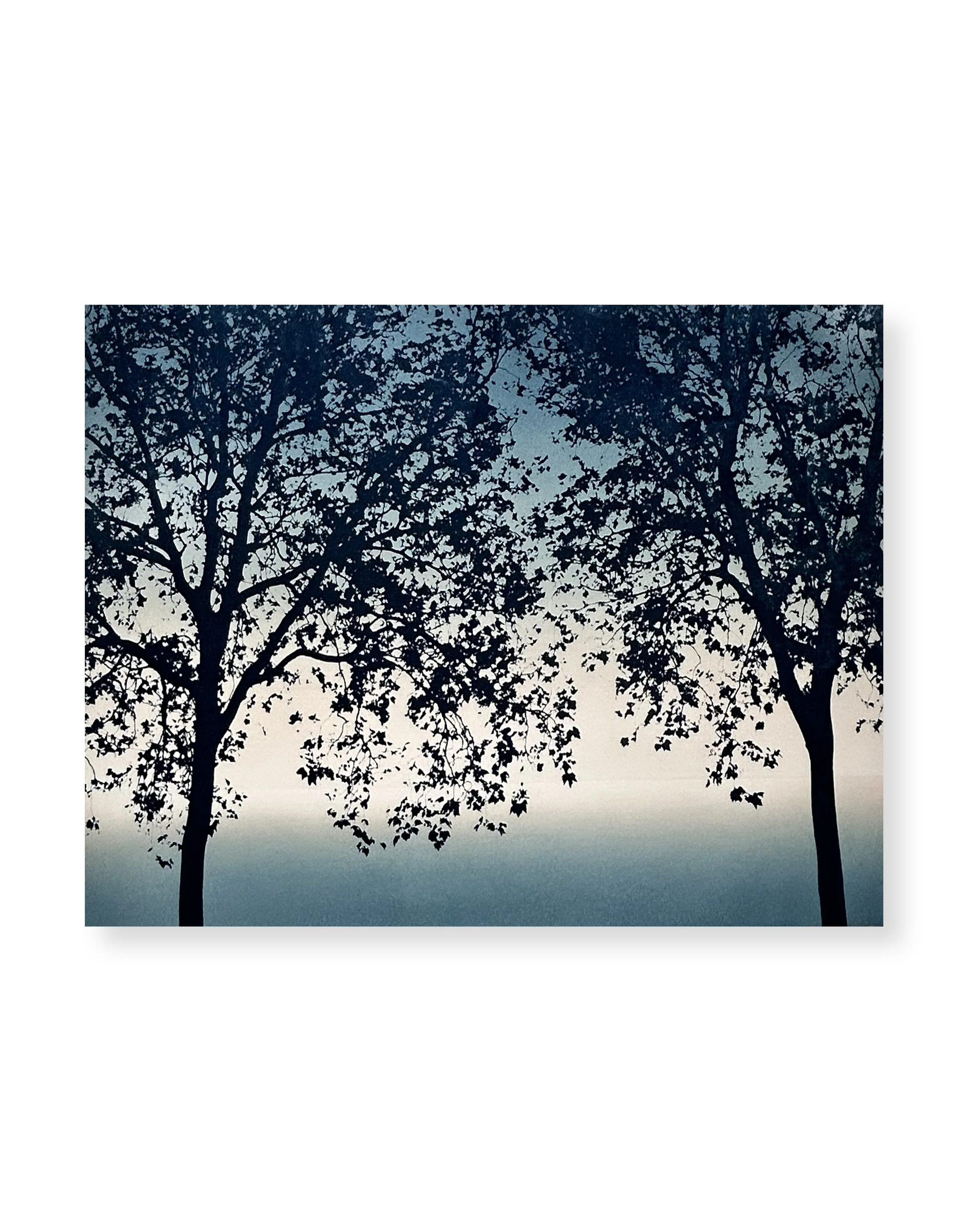 Des fiançailles pour rire