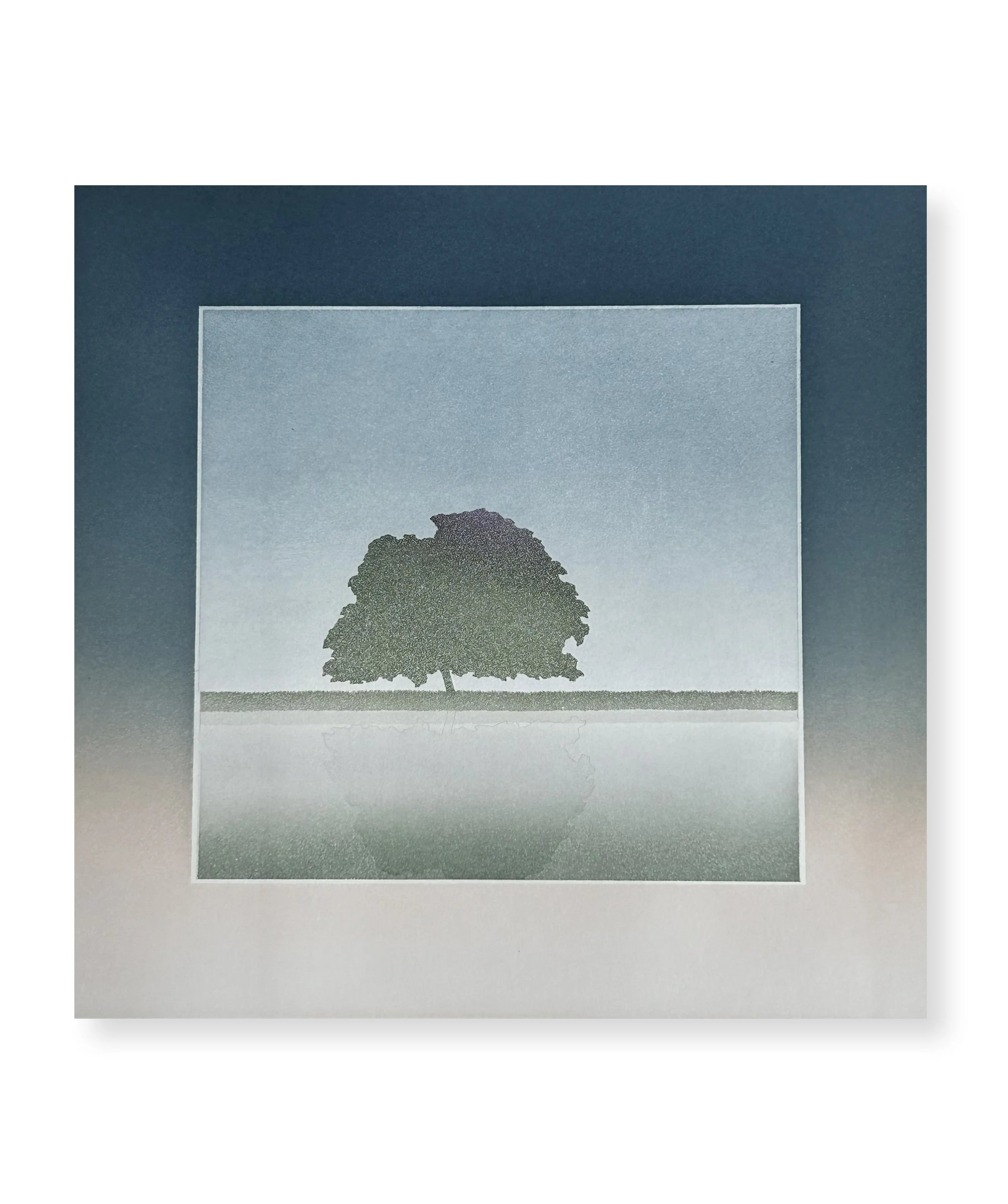 Un arbre c’est beaucoup plus qu’un arbre