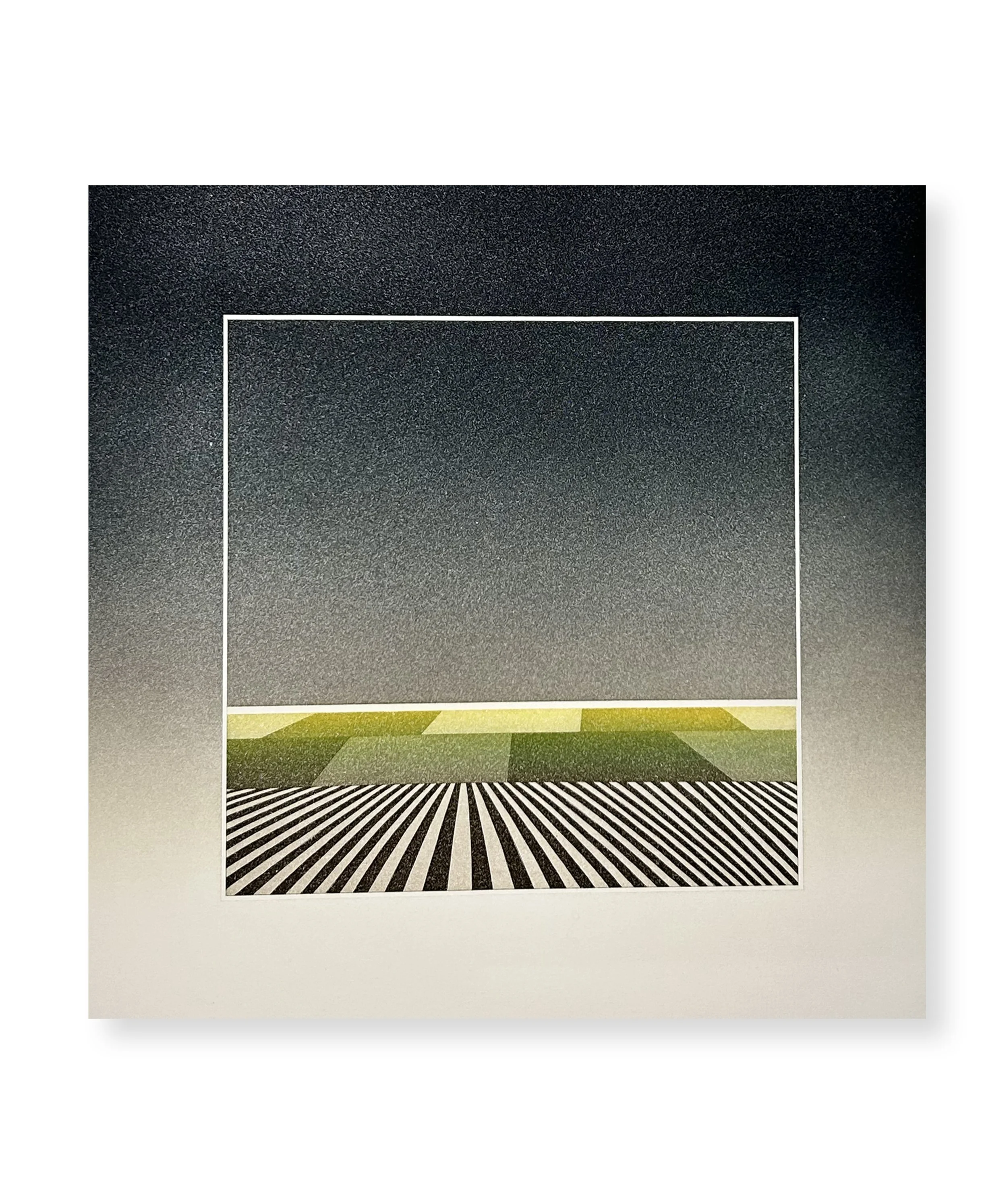 Un printemps suspendu