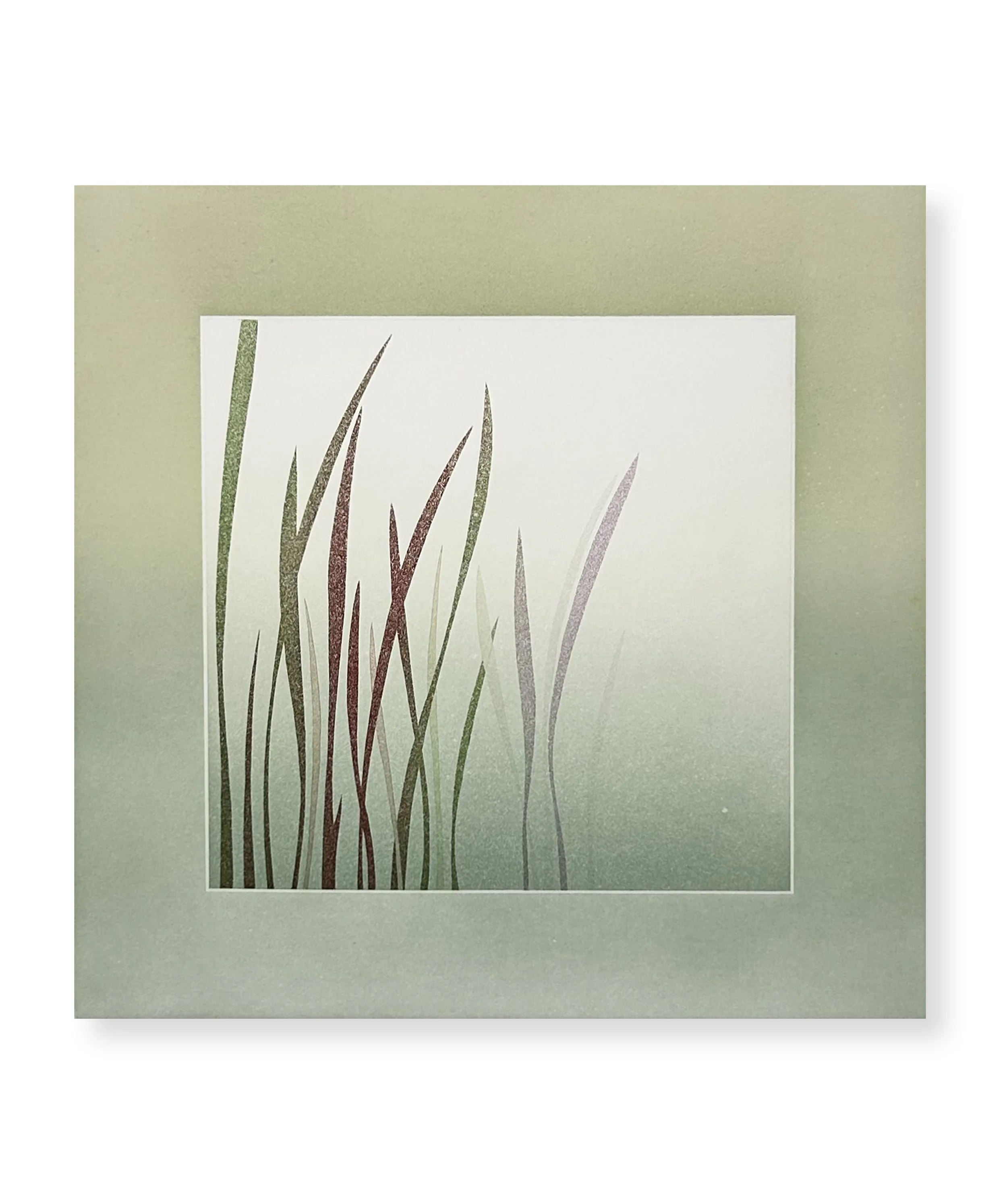 Dans toute le lumière