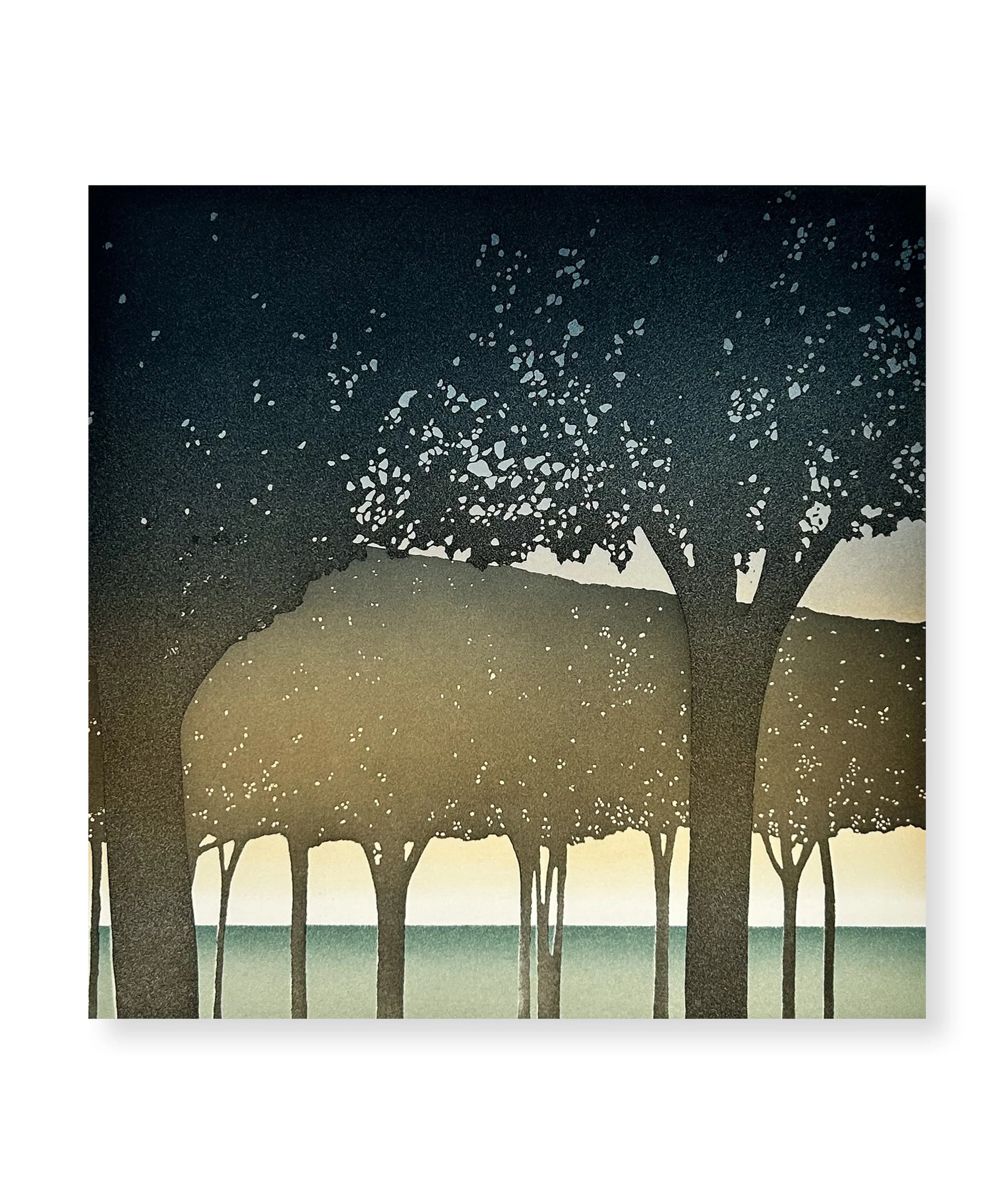 Des journées entières dans les arbres