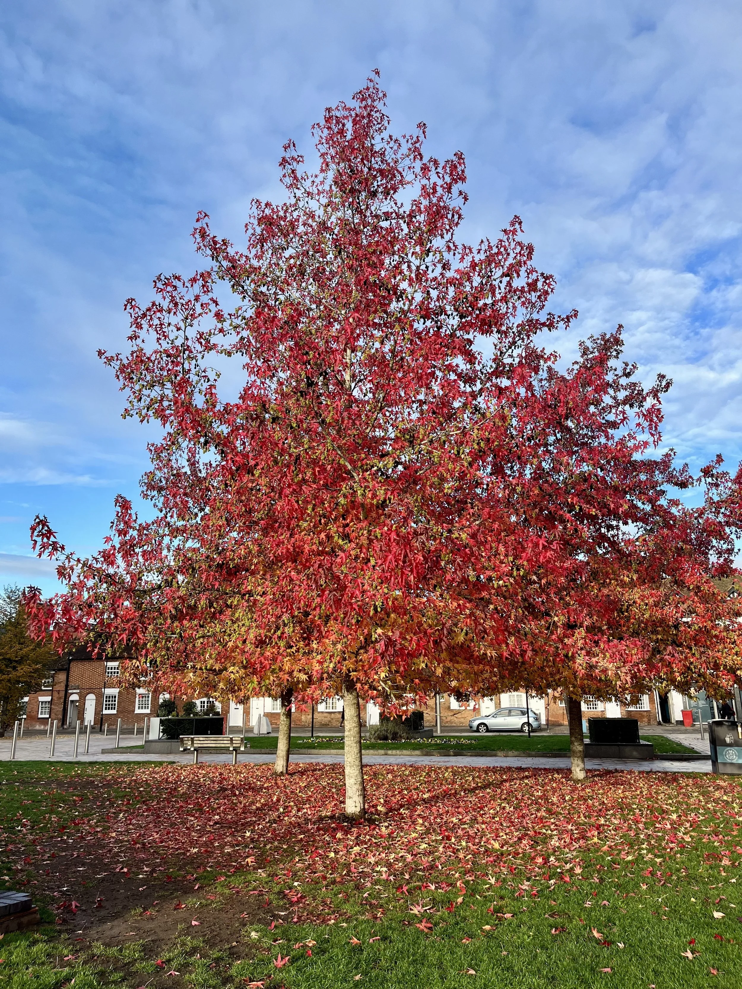 From Thinking to Feeling: Finding Peace in the Present