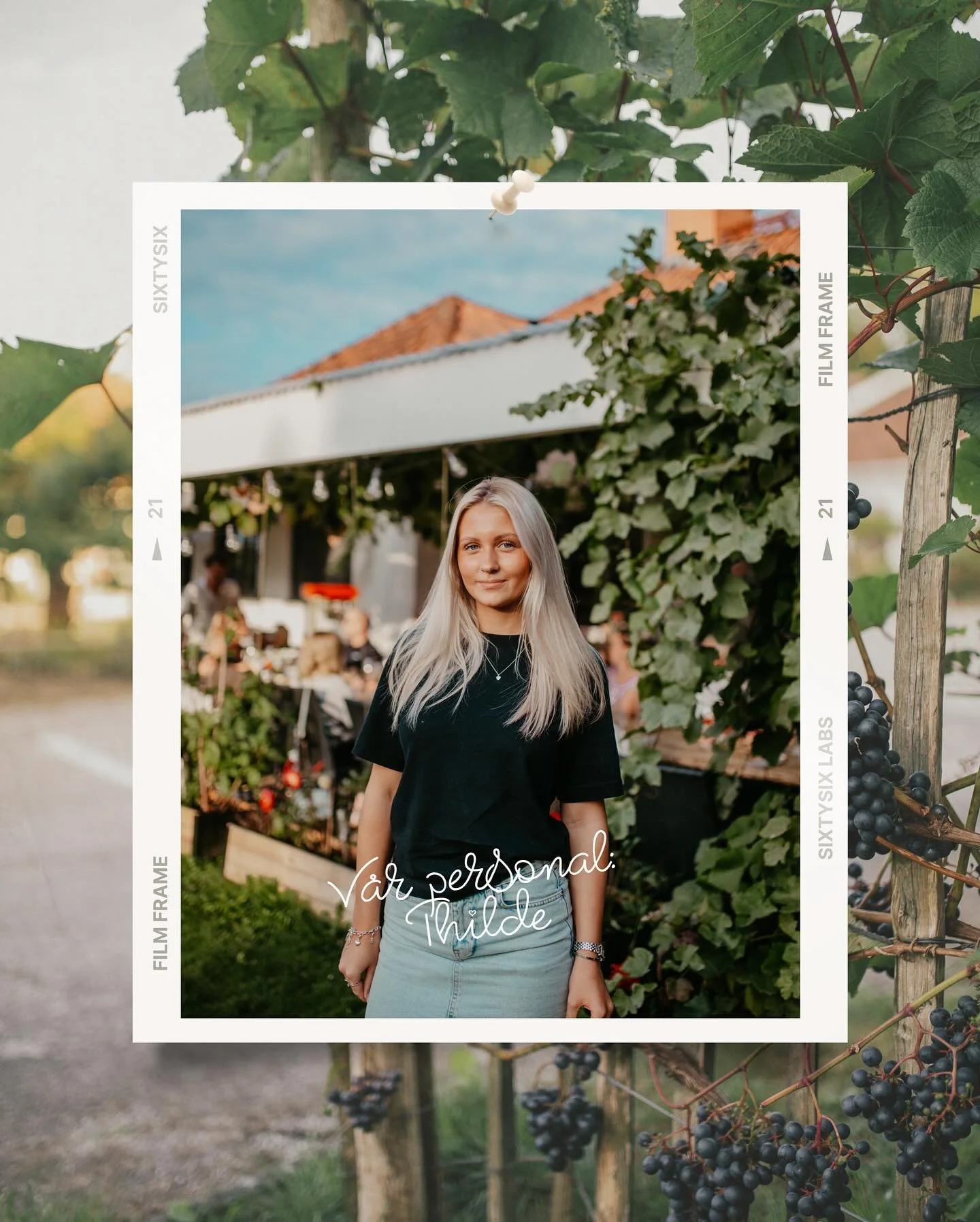 Möt vår personal - THILDE 🍂🤎
Thilde är 18 år och bor på Ivö, där hon har nära till både jobbet och de vackra miljöerna som känns hemma på riktigt. På Ivögården tar h