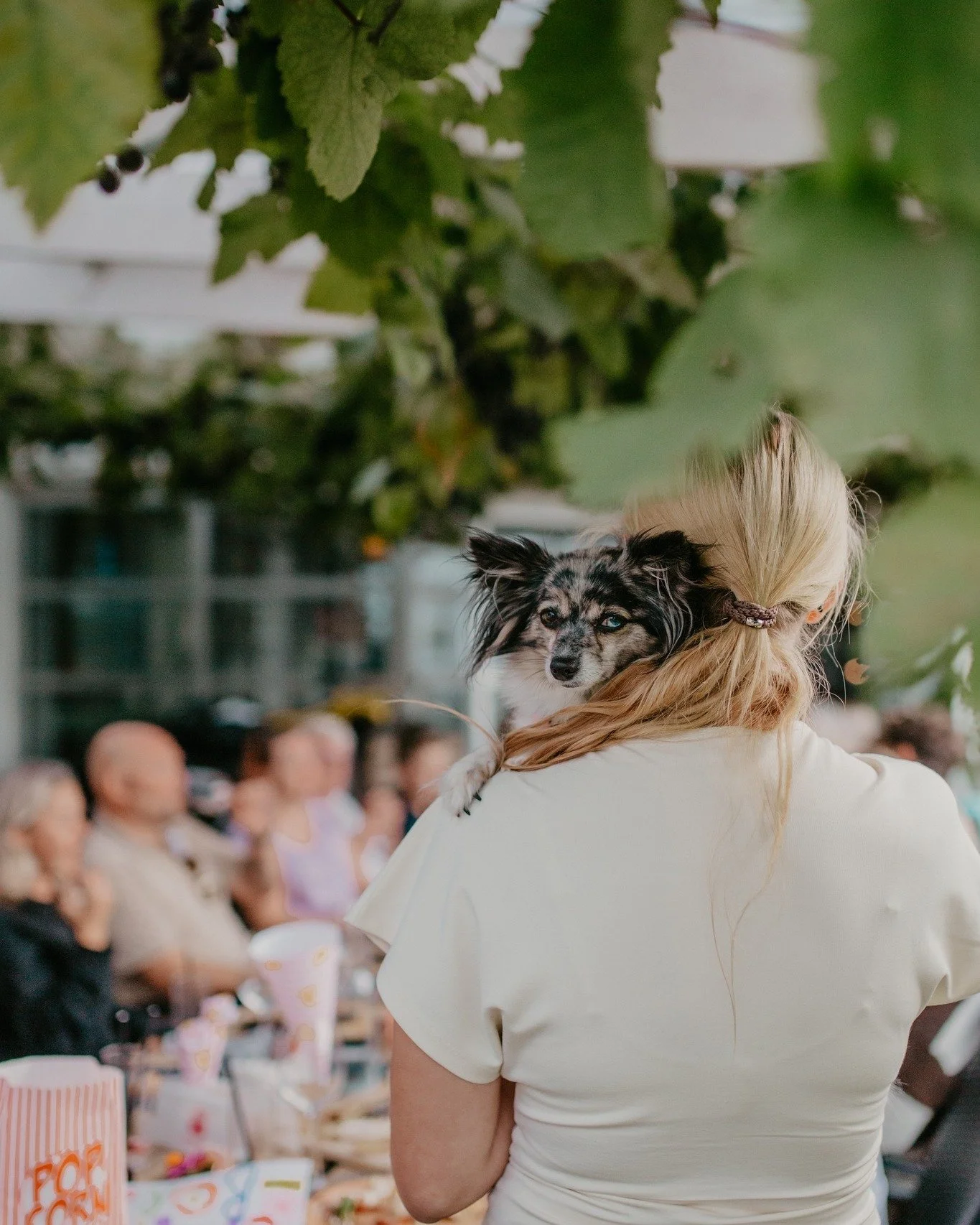 &Auml;ntligen st&aring;r helgen f&ouml;r d&ouml;rren! Vad har du f&ouml;r helgplaner?