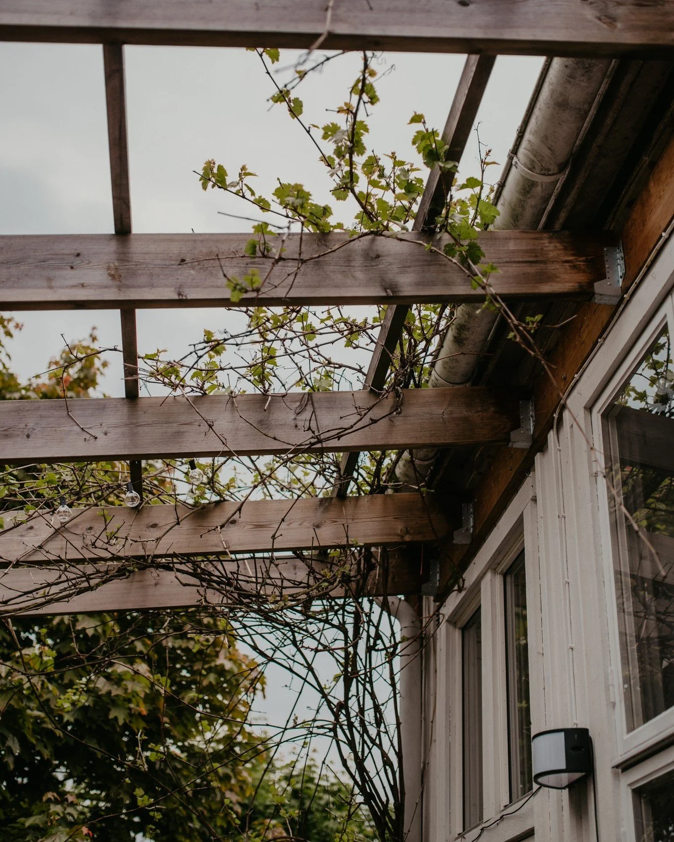 Skymningen kommer. Ljuset d&auml;mpas, vattnet speglar de f&ouml;rsta stj&auml;rnorna och luften k&auml;nns mjuk mot huden. 

N&aring;gon t&auml;nder lyktorna, ett skratt h&ouml;rs fr&aring;n verandan och doften av vedeld blandas med kv&auml;llens si