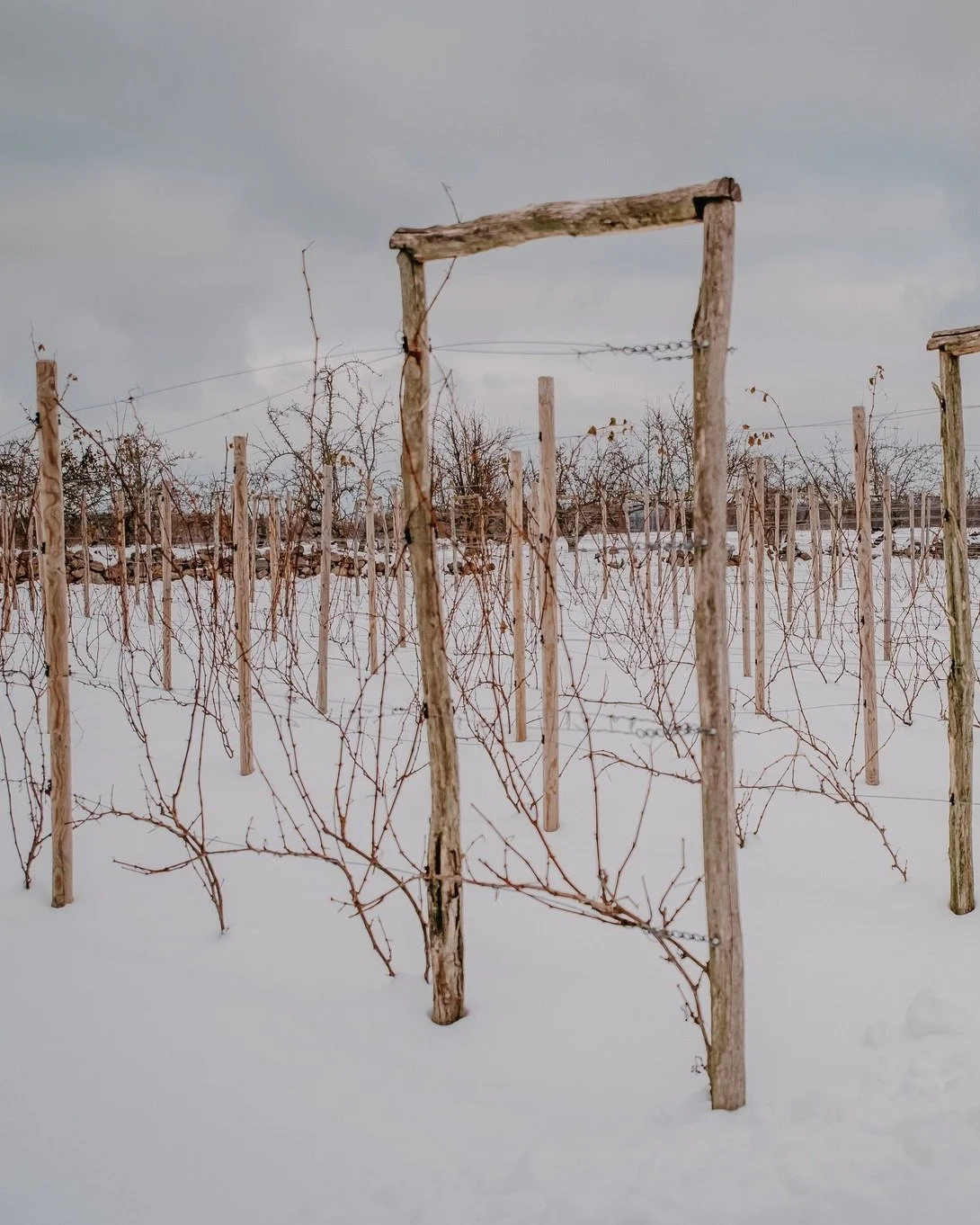 M&aring;nga som kommer hit s&auml;ger samma sak. Det sker n&aring;got p&aring; f&auml;rjeturen &ouml;ver Iv&ouml;sj&ouml;ns lena vatten. Axlarna s&auml;nks. Man drar djupare andetag och det k&auml;nns lugnare i kroppen, lite som om tempot justeras om