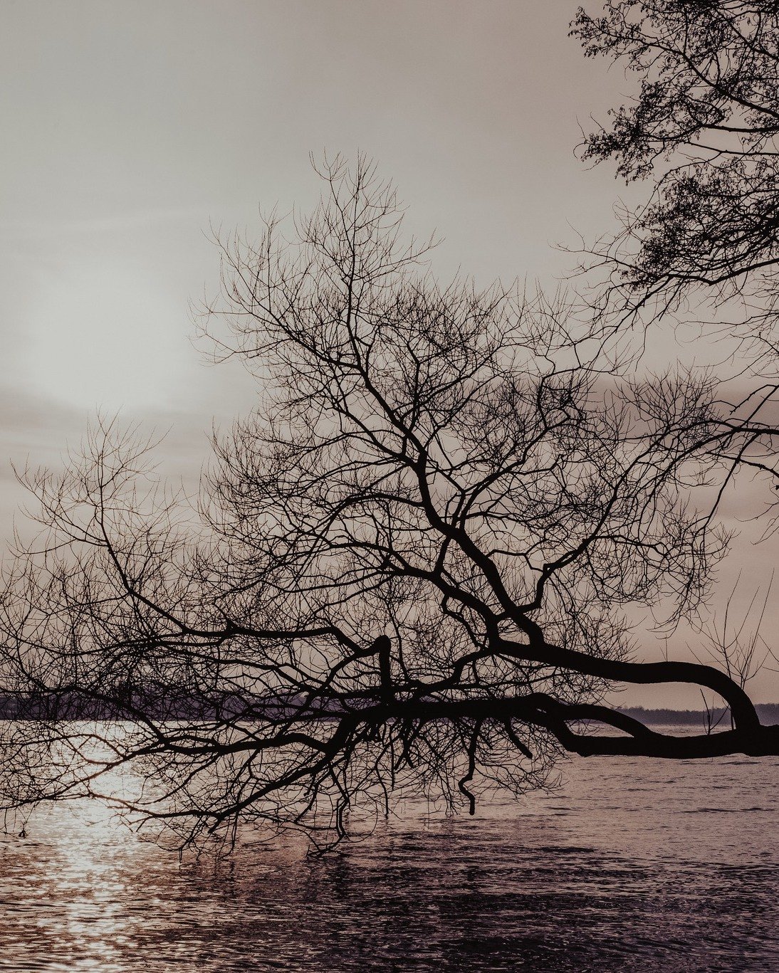 Nu n&auml;r &aring;ret g&aring;r mot sitt slut b&ouml;rjar m&aring;nga redan blicka fram&aring;t. Mot ljusare dagar, mot upplevelser som f&aring;r ta plats, mot stunder som inte ska stressas igenom. Iv&ouml;g&aring;rden h&aring;ller f&ouml;rst&aring;