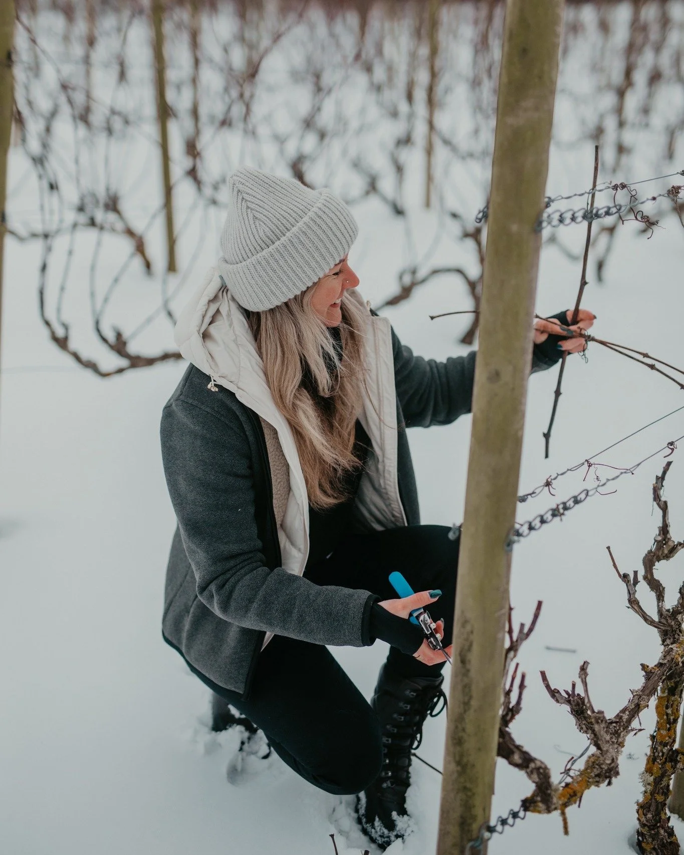 I ving&aring;rden ligger vintern alldeles stilla. De nakna grenarna str&auml;cker sig stelt mot den kyliga, gr&aring;mulna himlen. S&ouml;mniga. Som i dvala. Det &auml;r nu grunden f&ouml;r n&auml;sta &aring;rs sk&ouml;rd l&auml;ggs. Vinterbesk&auml;