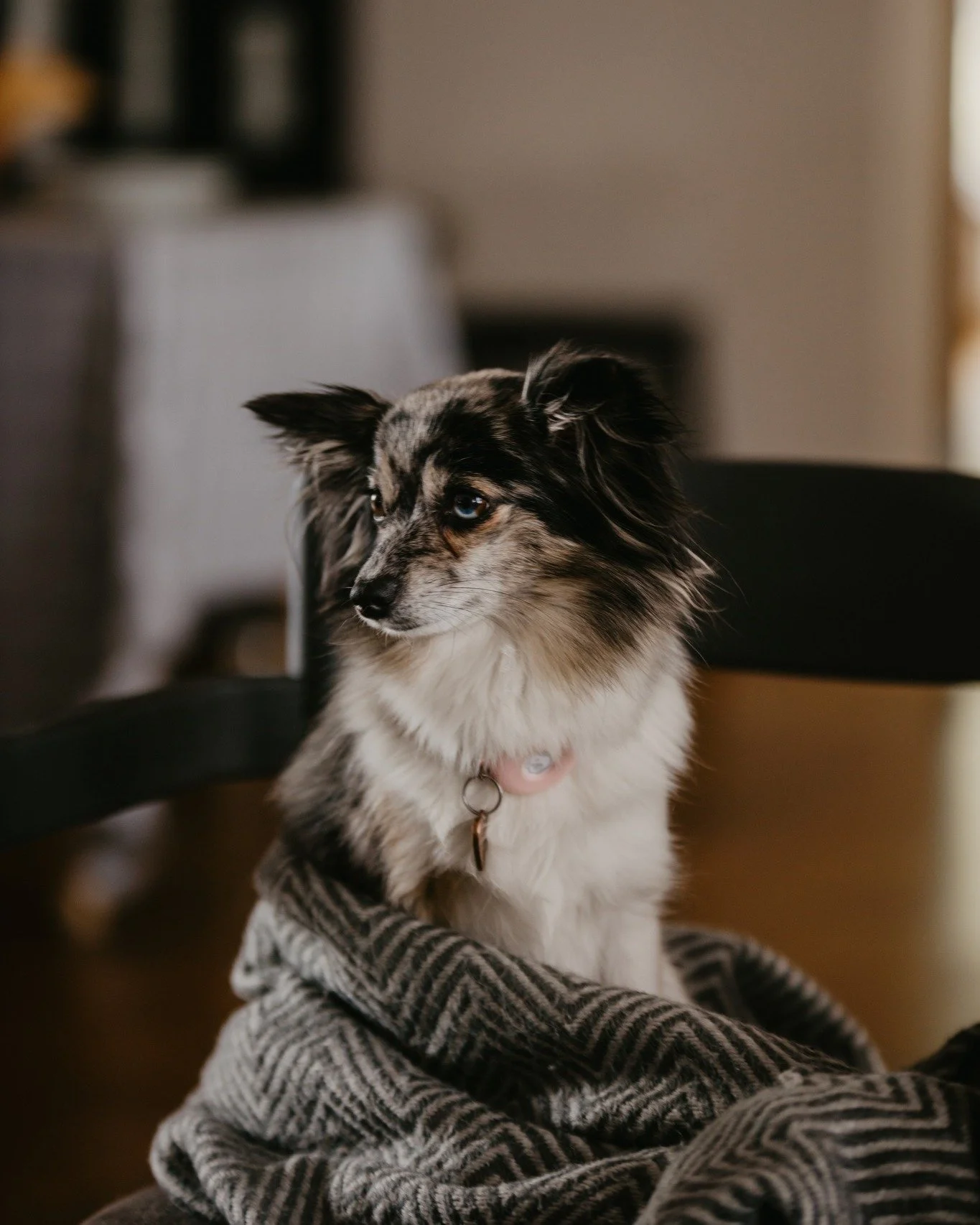 Att driva Iv&ouml;g&aring;rden &auml;r inget vi st&auml;nger d&ouml;rren till klockan fem. Det &auml;r n&aring;got som f&ouml;ljer med oss hem. N&aring;got som &auml;r st&auml;ndigt n&auml;rvarande. Det genomsyrar hela v&aring;r vardag, k&auml;nns p&