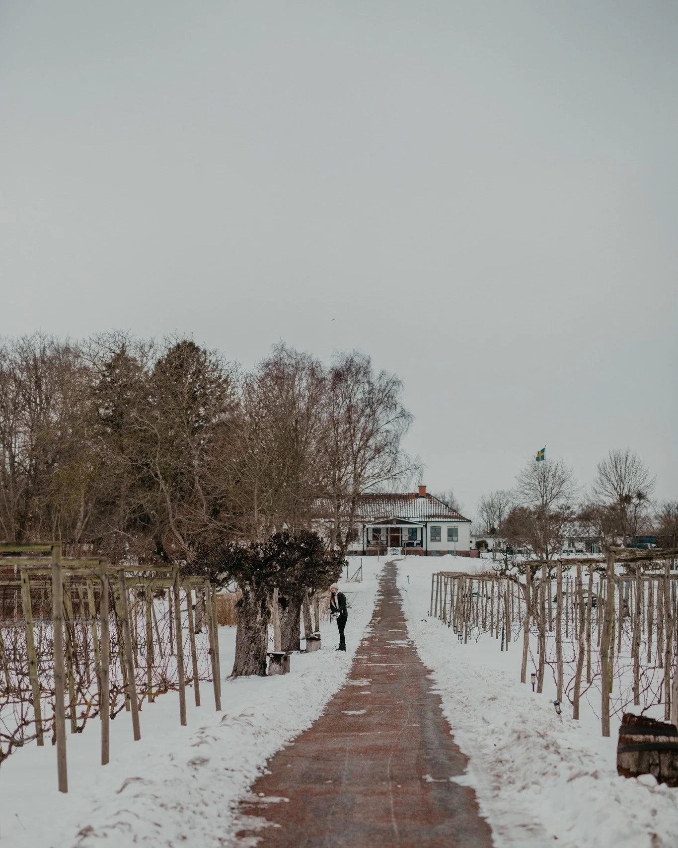 P&aring; Iv&ouml;g&aring;rden &auml;r sysslorna varken tillgjorda eller l&auml;mnade &aring;t slumpen. H&auml;r &auml;r det s&auml;songerna som styr och det &auml;r bara att f&ouml;lja med p&aring; topparna liksom i dalarna. Vinerna vi producerar h&a