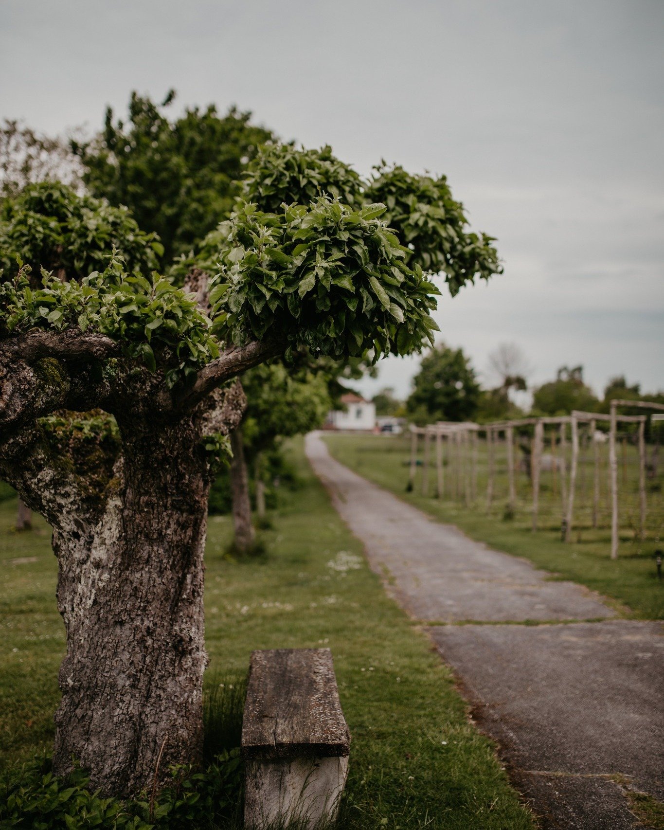 Ibland beh&ouml;ver sj&auml;len en plats d&auml;r axlarna f&aring;r sjunka, d&auml;r bruset tystnar och d&auml;r man f&aring;r lov att bara vara m&auml;nniska. Det &auml;r precis den platsen vi vill att Iv&ouml;g&aring;rden ska vara f&ouml;r dig.

V&