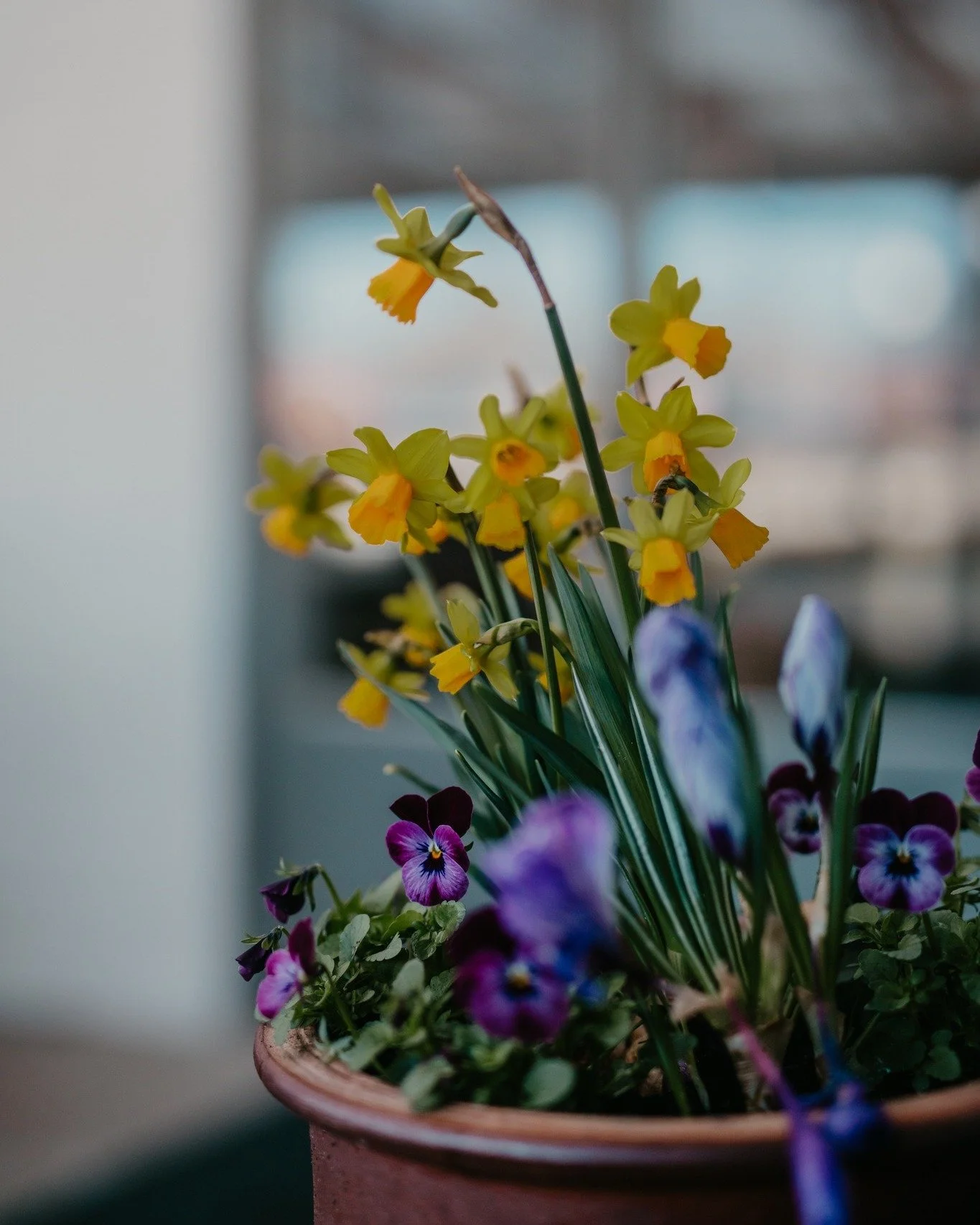 Vi &auml;r uppe tidigt och p&aring;skpiffar p&aring; g&aring;rden.. Alla  laddar f&ouml;r en helg fylld av p&aring;skfirande. Du kommer v&auml;l?