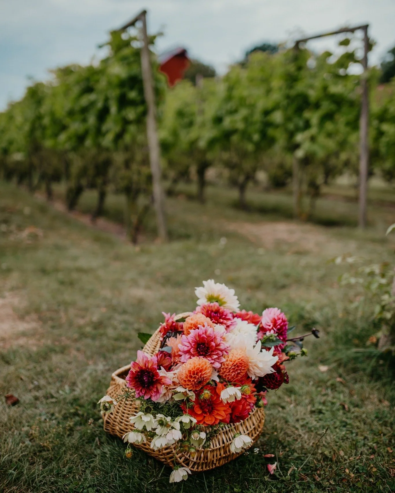 Det finns en s&auml;rskild sorts magi p&aring; Iv&ouml; som &auml;r sv&aring;r att s&auml;tta ord p&aring;, men som k&auml;nns i hela kroppen s&aring; fort man landar h&auml;r. Tack vare sj&ouml;ns omfamning har vi ett eget litet mikroklimat d&auml;r