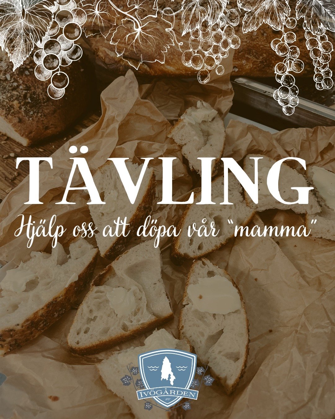 P&aring; Iv&ouml;g&aring;rden doftar det ljuvligt av nybakat just nu. Vi ligger n&auml;mligen i h&aring;rdtr&auml;ning med v&aring;ra surdegar inf&ouml;r s&auml;songen! Men vi har ett litet problem...

V&aring;r k&auml;ra surdegsmamma &ndash; basen i