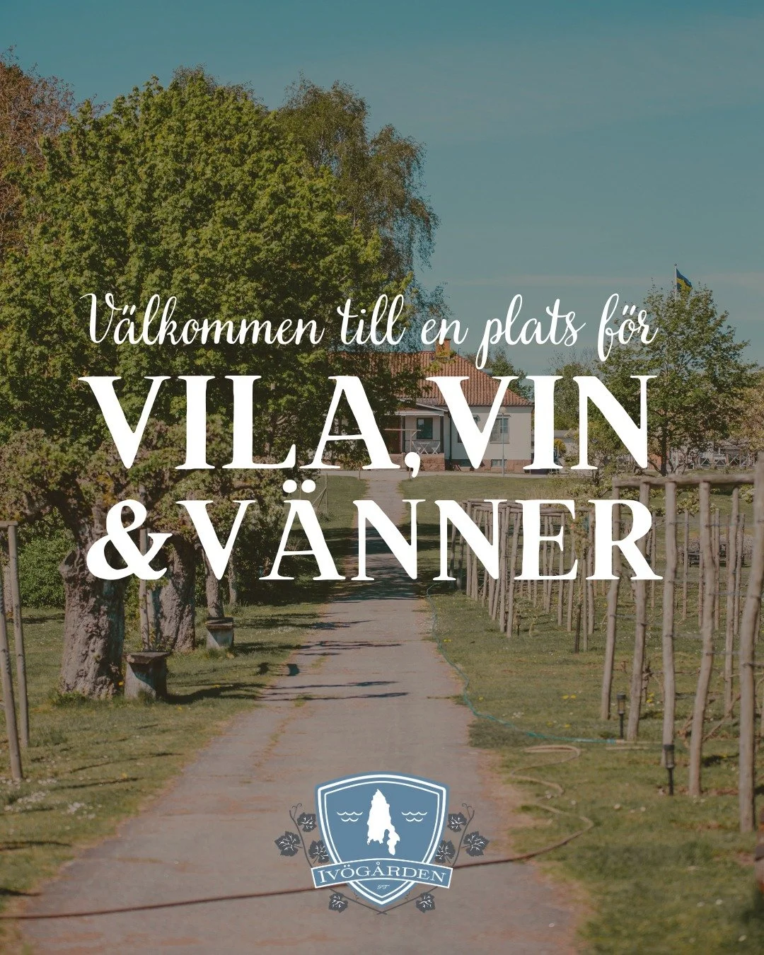 Boka sommarens semester p&aring; Iv&ouml; nu 🫶 Det blir en of&ouml;rgl&ouml;mlig upplevelse! L&auml;s mer  och boka via l&auml;nken i v&aring;r profil.