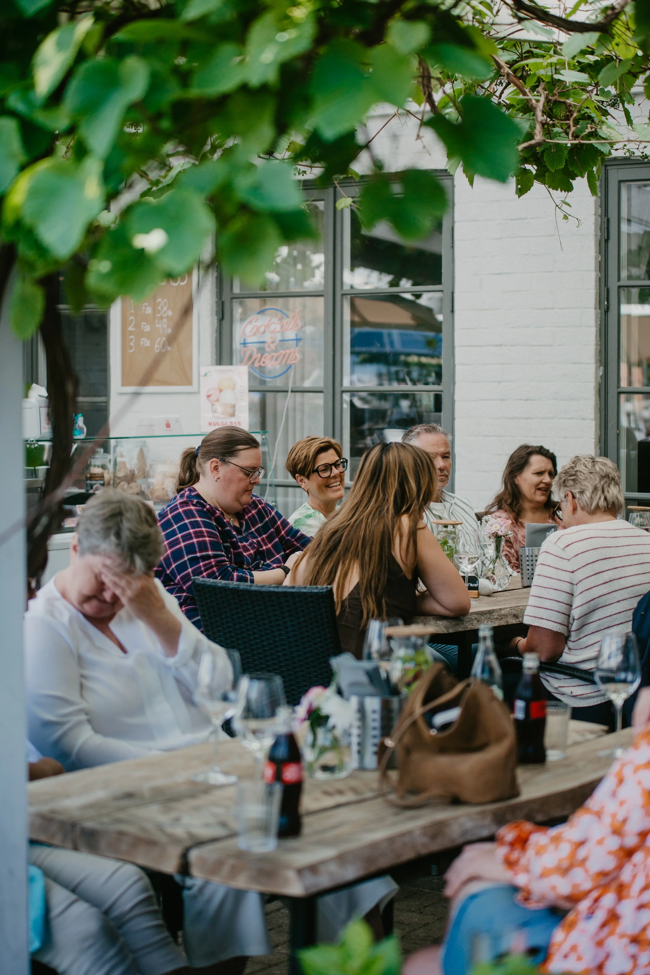 En grupp människor som sitter vid ett långbord och firar utomhus under en skyddande pergola med växande mörklila vinrankor. De skålar i hand och äter mat, medan det finns drickor som vin och cocktails på bordet. Det är en festlig samling med glada ansikten.