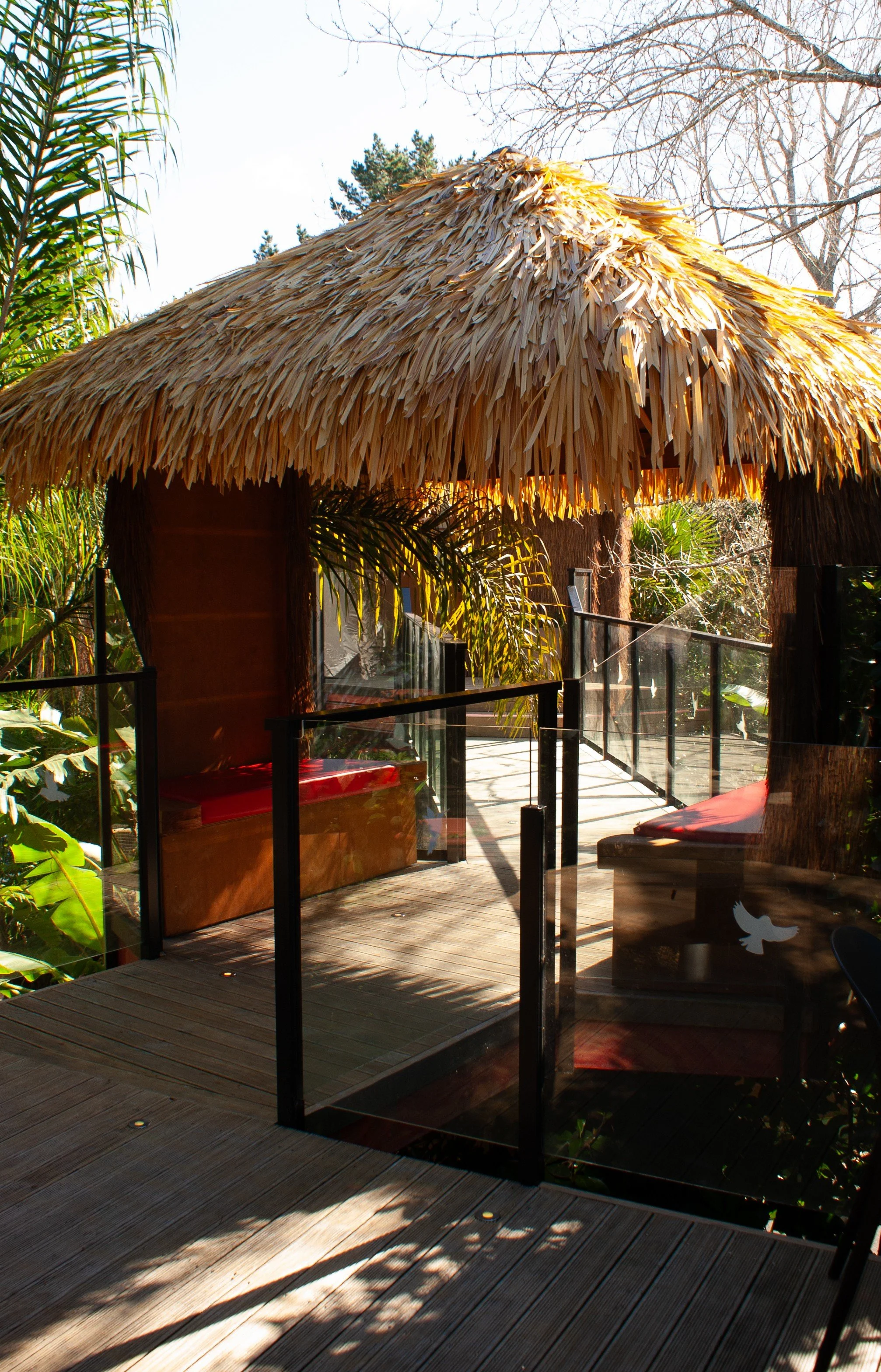 Day Spa Tree Tops.jpg