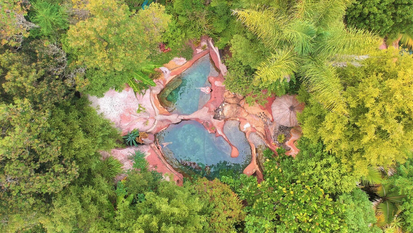 Geothermal Pools surrounded by NZ bush.jpg