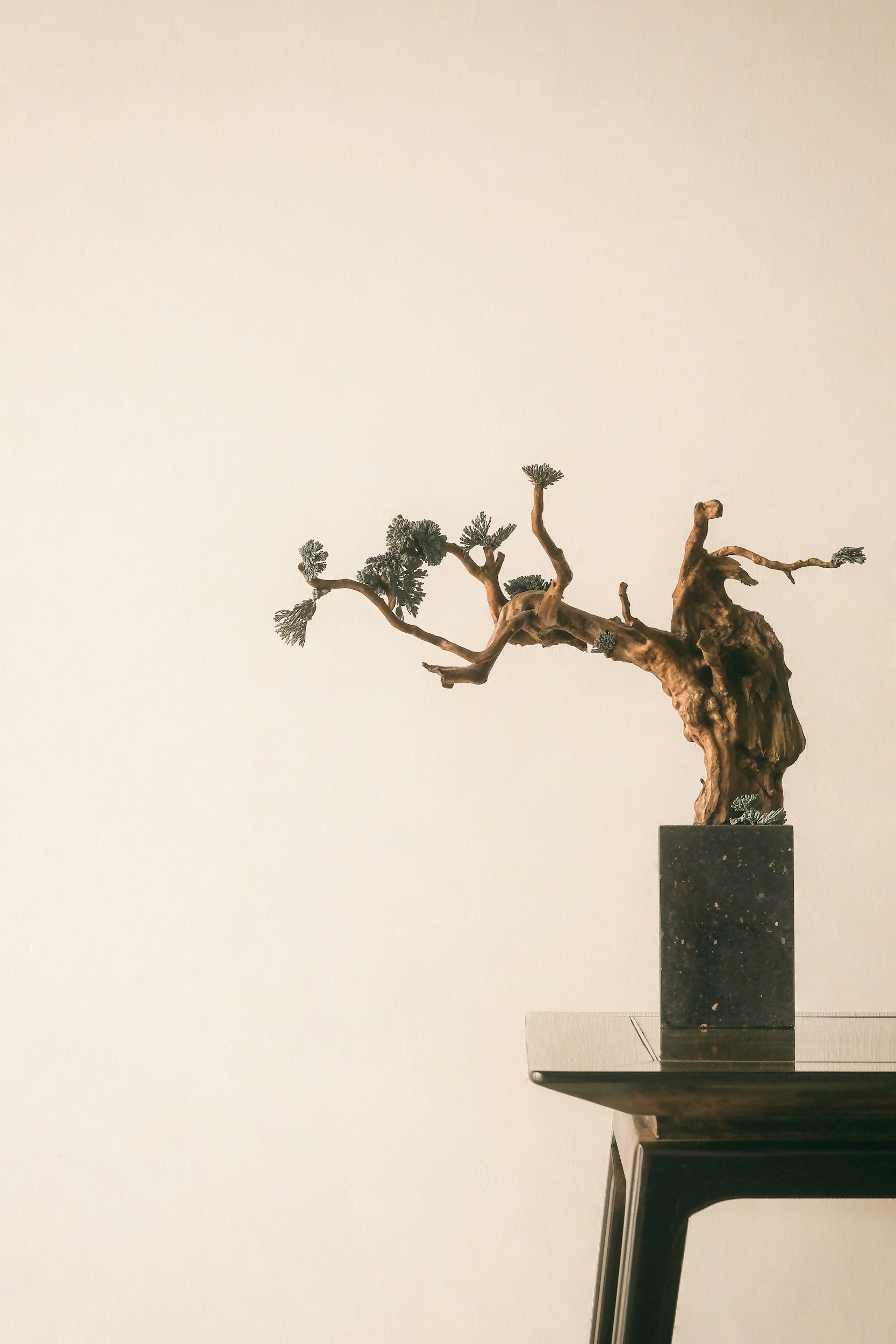 Une sculpture de petit arbre ou de bonsaï sur un socle noir, placé sur une table ou un piédestal en angle.