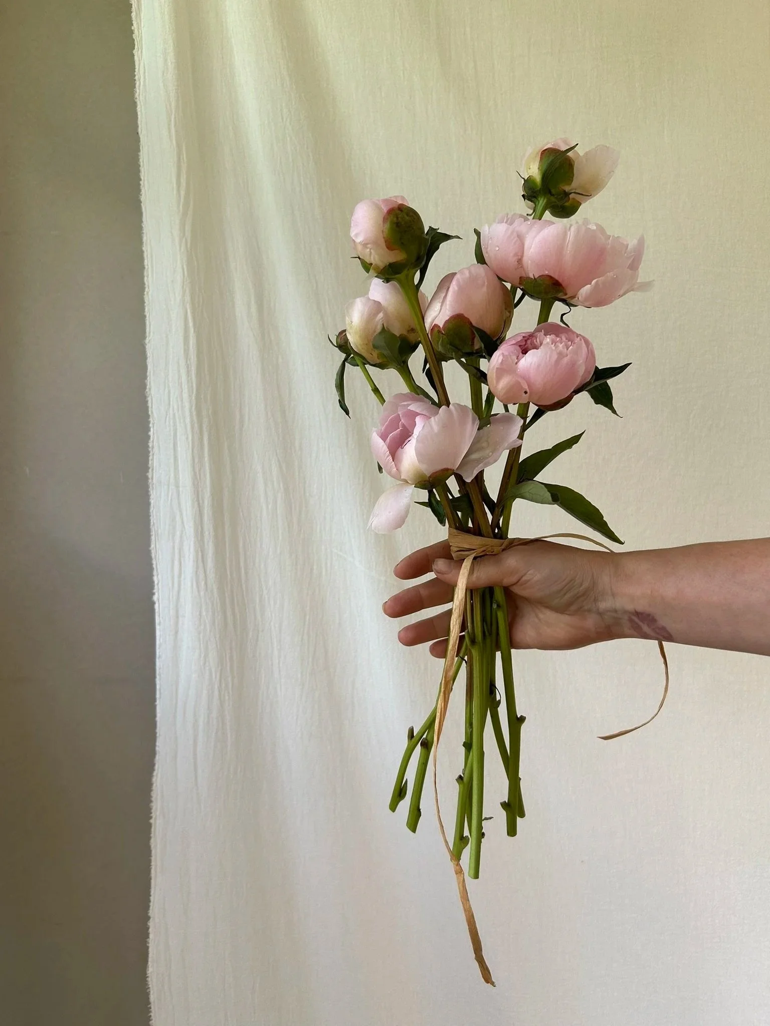 The single stem trend