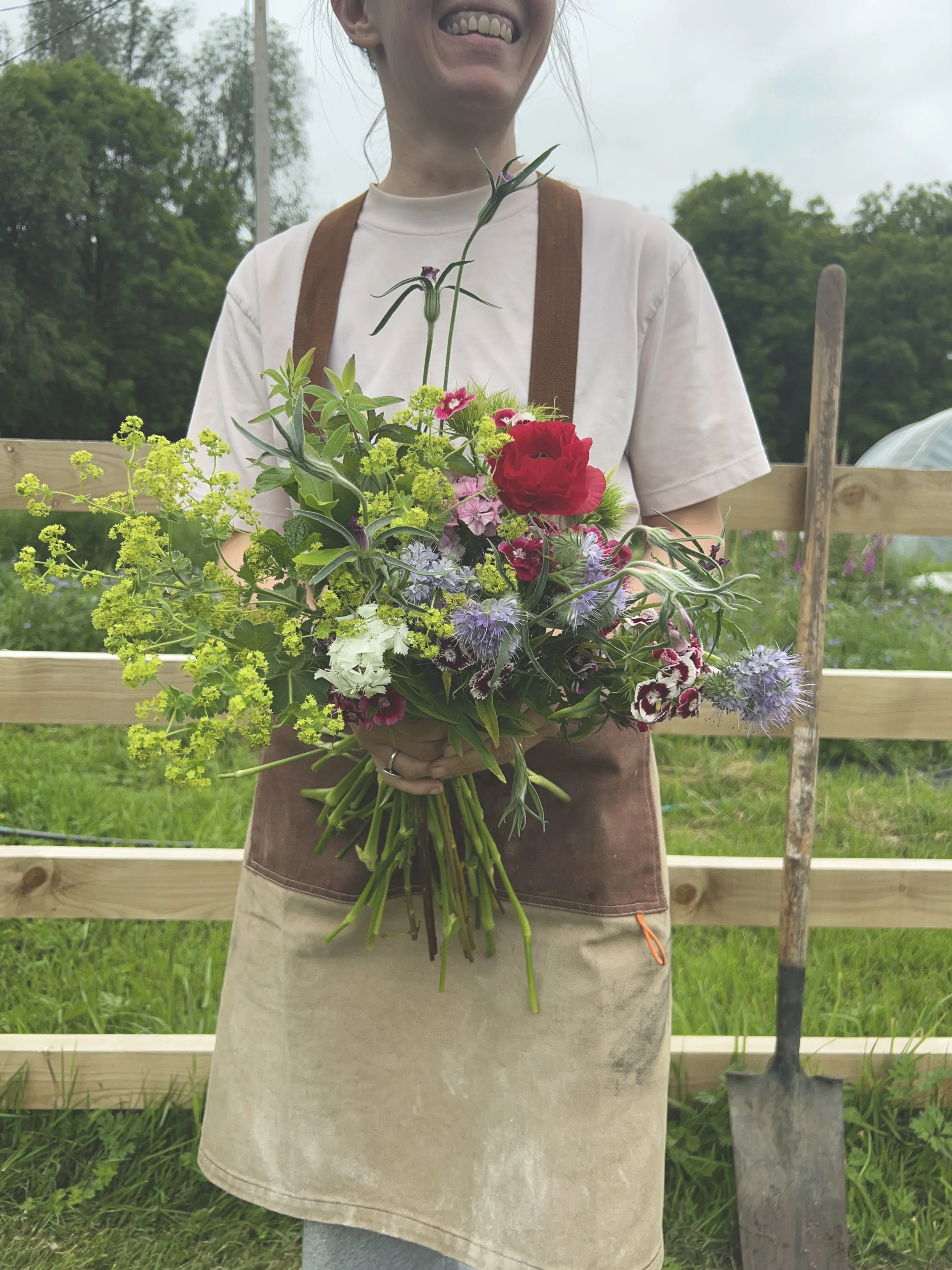 woman holding a bunch of freshly picked flowers