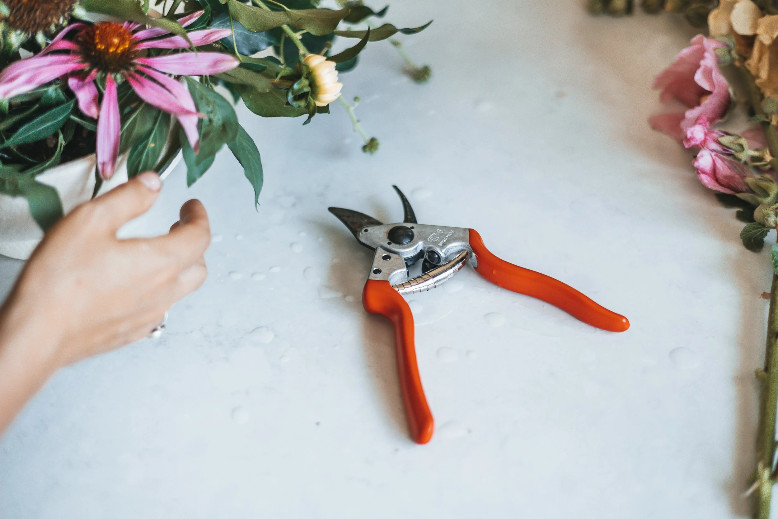 Gardening tool on a worktop with loose flowers around it