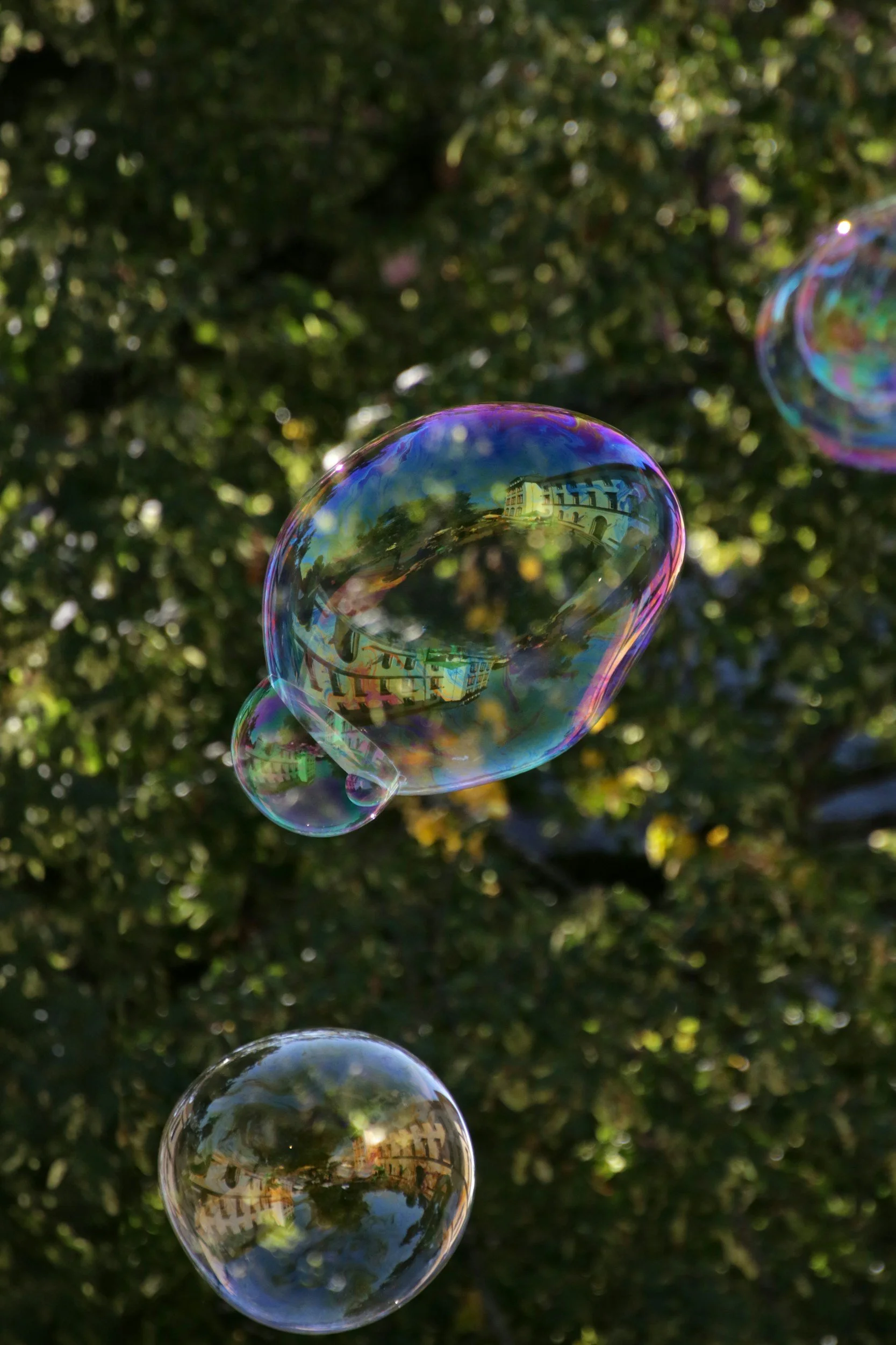 Several iridescent soap bubbles floating in the air with a leafy green background, reflecting nearby buildings and trees.