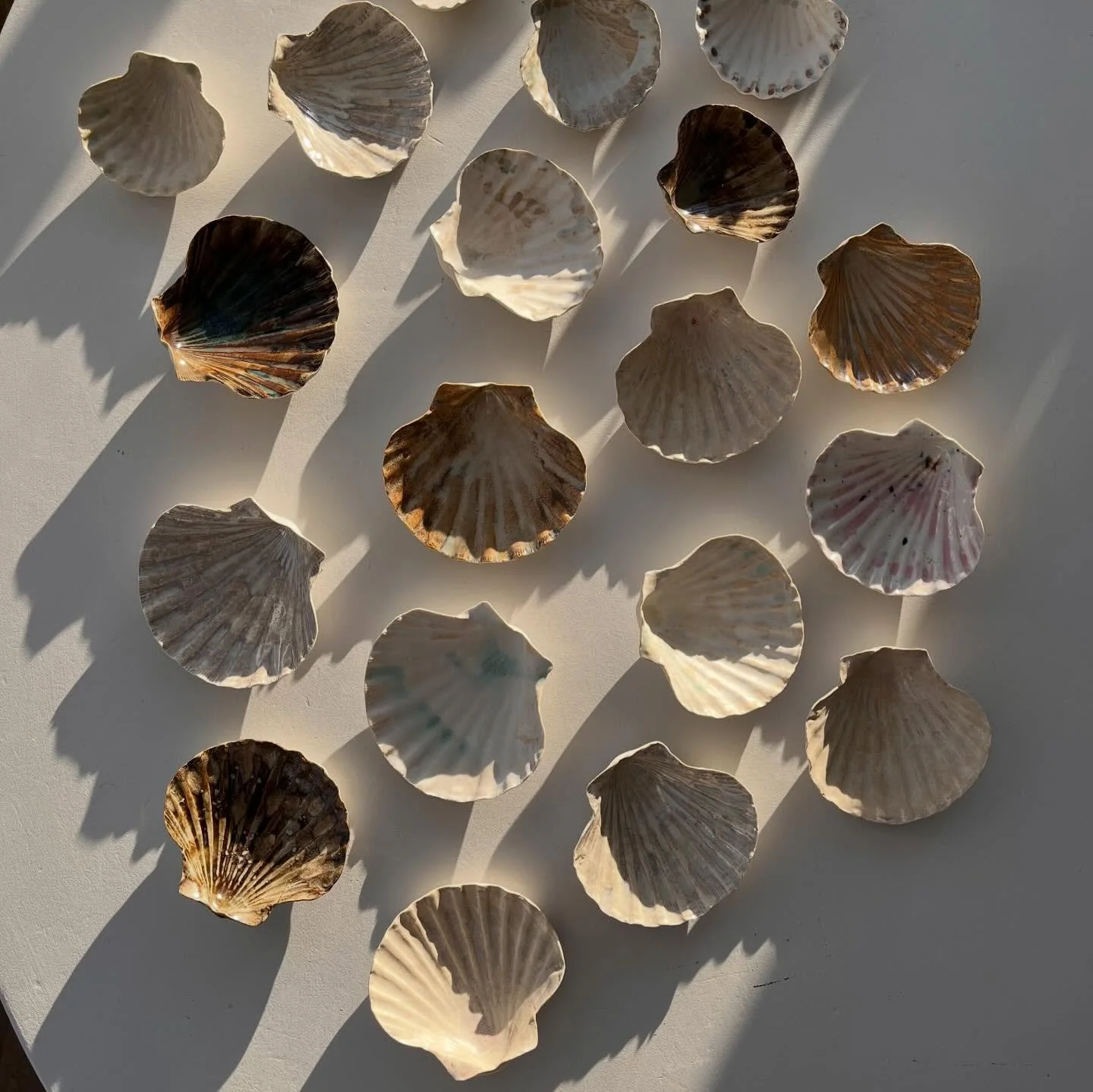 Vintersol &amp; aftryk af kammuslinger samlet i sommersol i Normandiet ❄️
De kan k&oslash;bes hos @ravnsminde 🩵

#h&aring;ndlavetkeramik #keramikskaller #ceramics #interiordesign #handmade