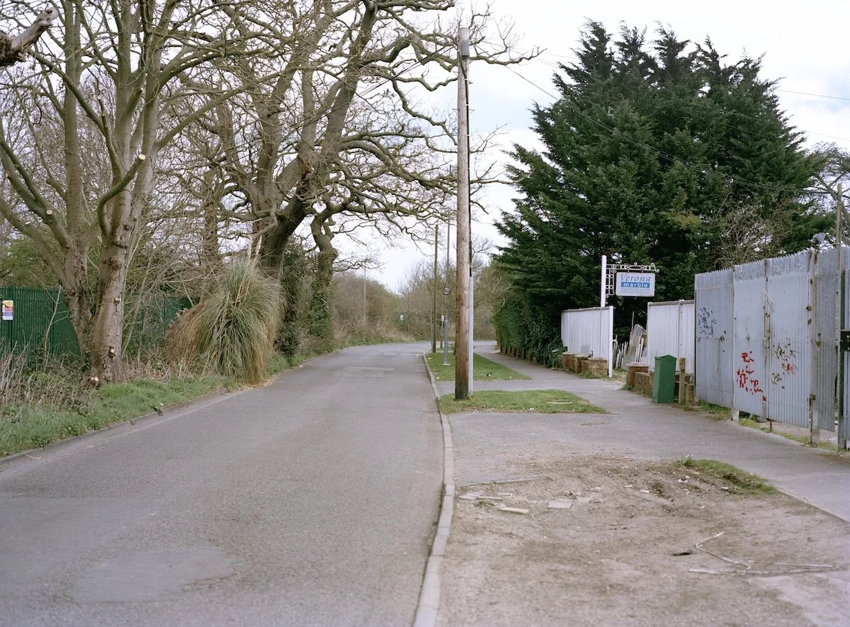 driveway edited recent copy.jpg