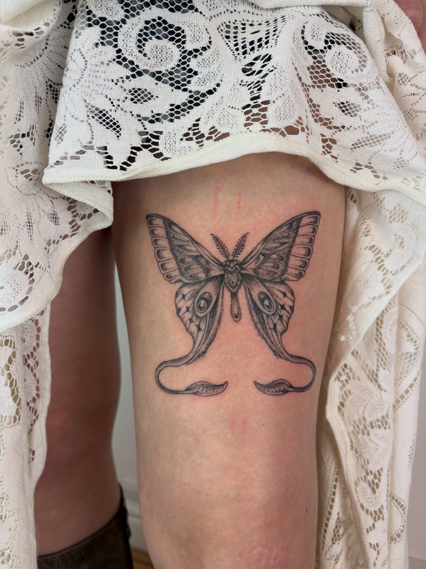 ꧁ 𝓕𝓵𝓪𝓼𝓱 𝓵𝓾𝓷𝓪 𝓶𝓸𝓽𝓱 ꧂

Thankyou Viv for claiming her x

Just a reminder I am now on maternity leave 🦦
I&rsquo;m not sure as of yet when exactly I&rsquo;ll be returning to work. When I do return I&rsquo;ll be making my way through my summe