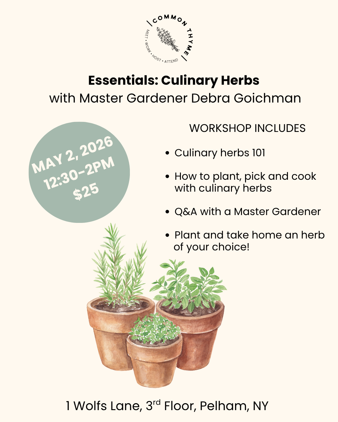 Essentials: Culinary Herbs 