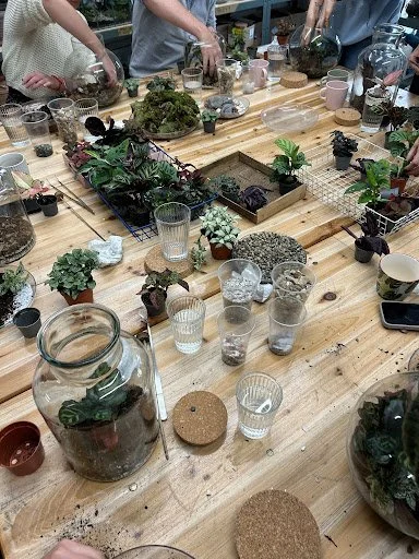 Terrarium Making Workshop with Botanica Studio - Queer Bath 