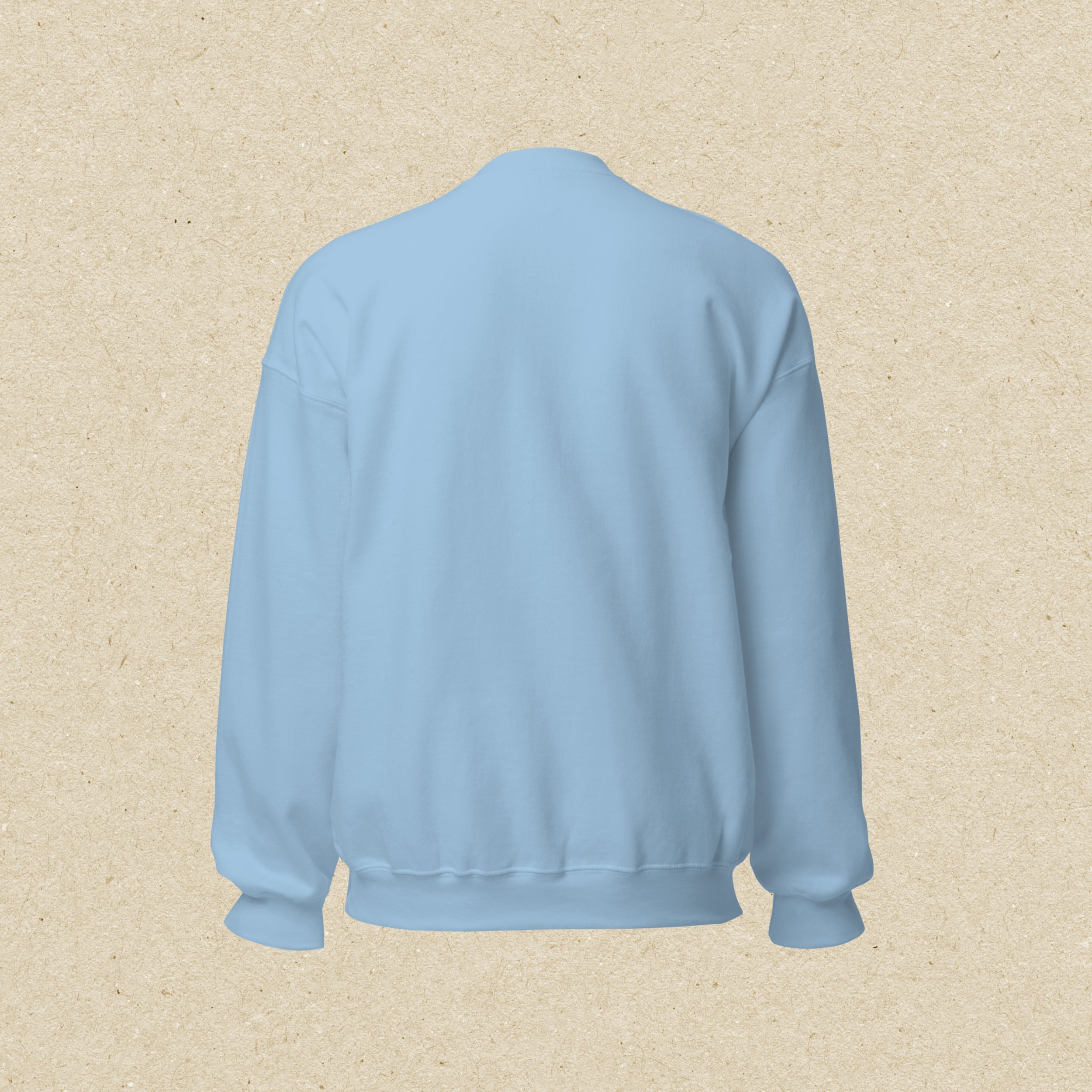 HAWSER - SWEAT - LIGHT BLUE - BACK.jpg