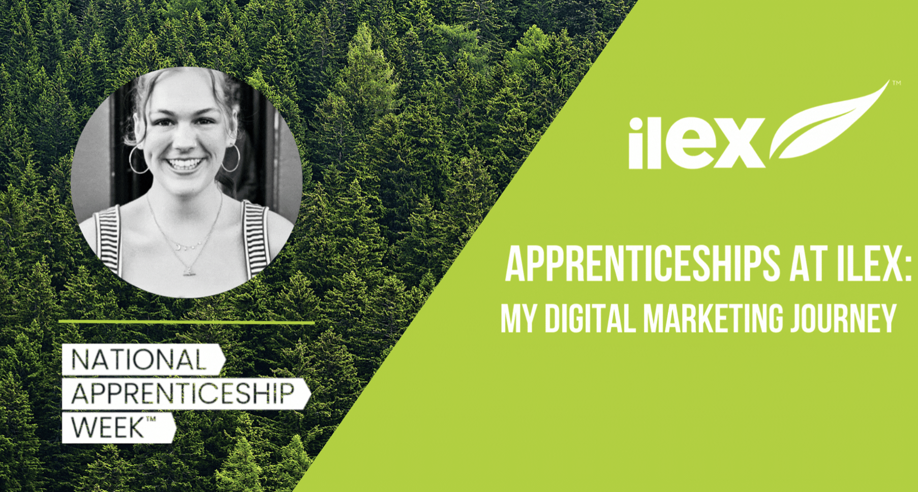 Apprenticeships at Ilex: My Digital Marketing Journey