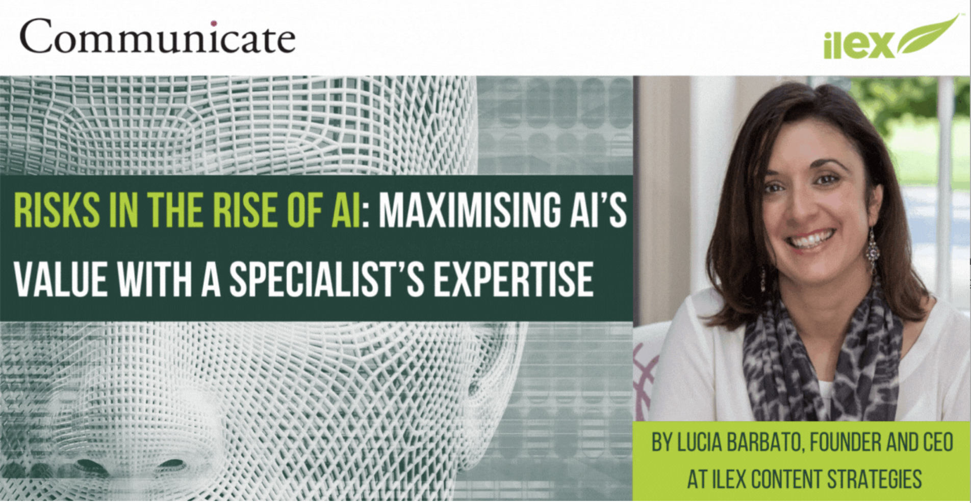 Risks in the Rise of AI