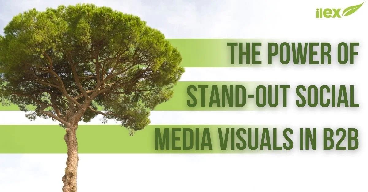 The Power of Stand-Out Social Media Visuals in B2B