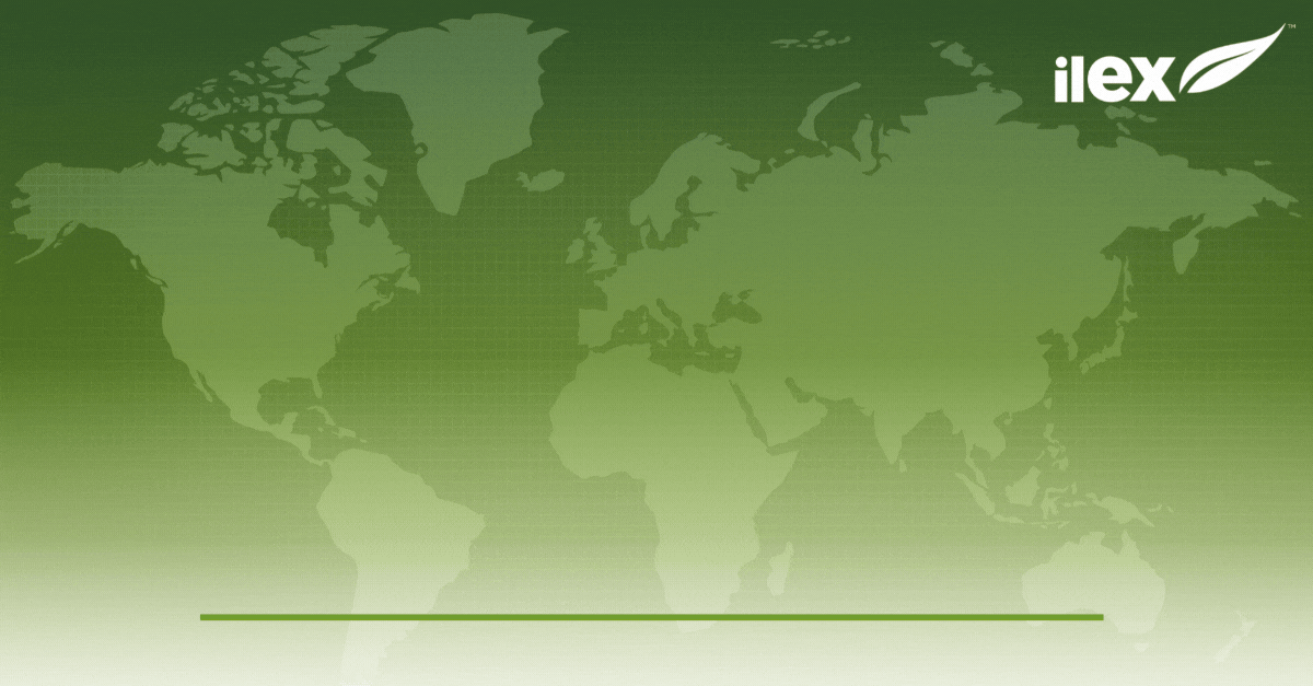 Indigo Appoints Ilex Content Strategies as its Marketing and Communications Agency of Record